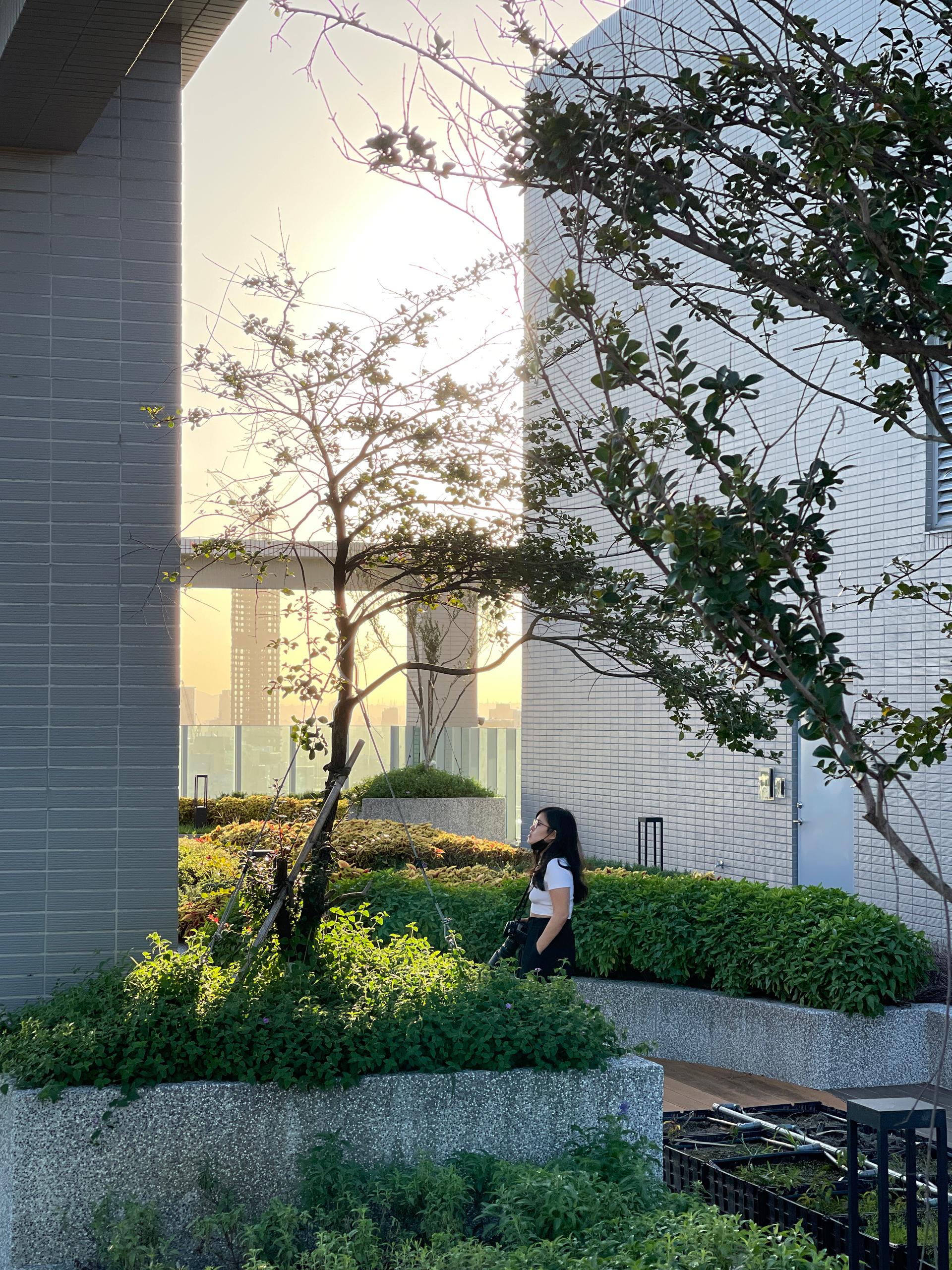 Guangci Charity Park Social Housing (Design Build Project E ) - image 10