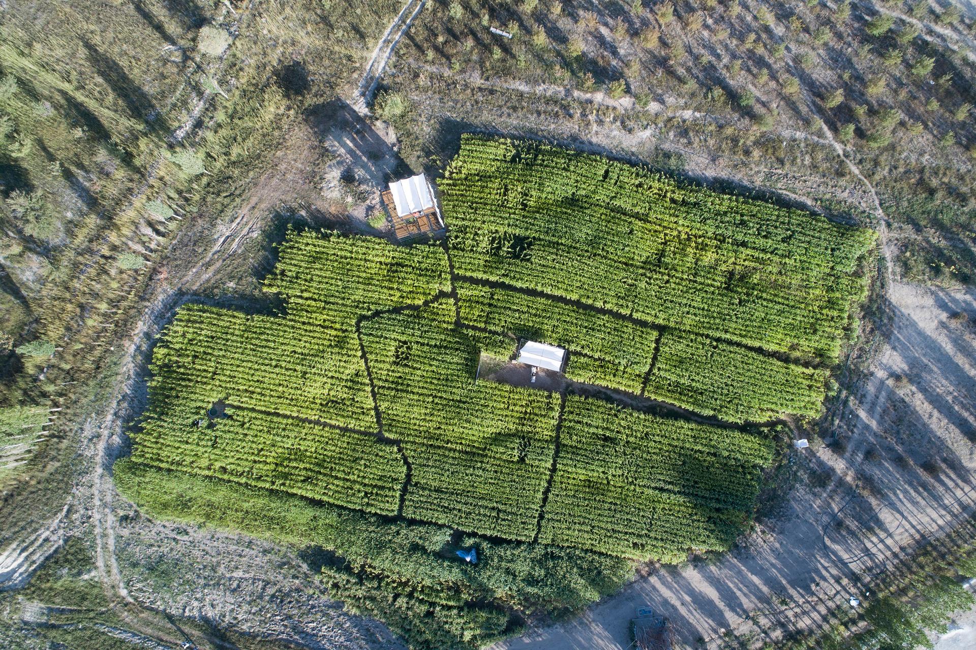Poonehzar-Farm - image 3