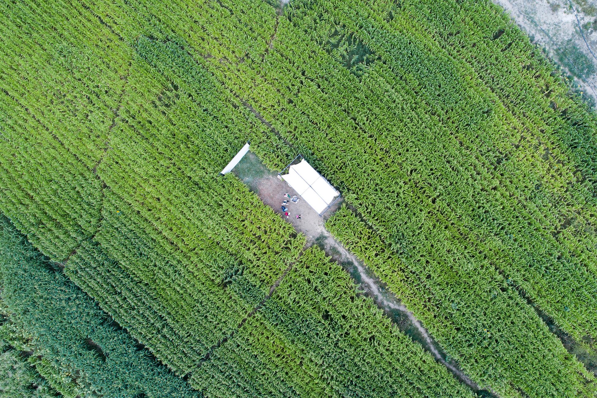 Poonehzar-Farm - image 4