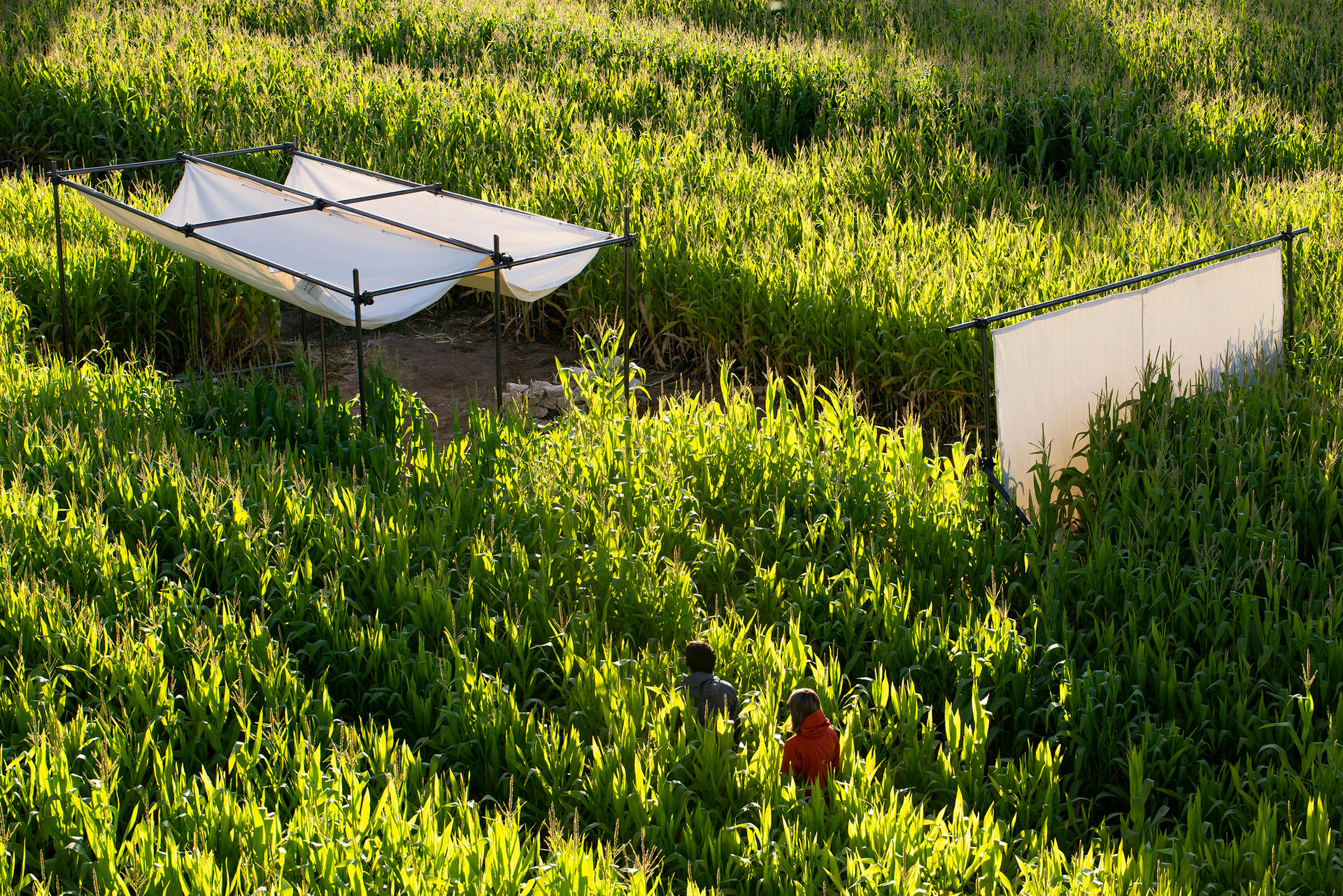 Poonehzar-Farm - image 2