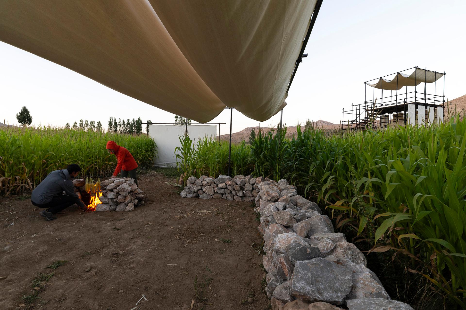 Poonehzar-Farm - image 7