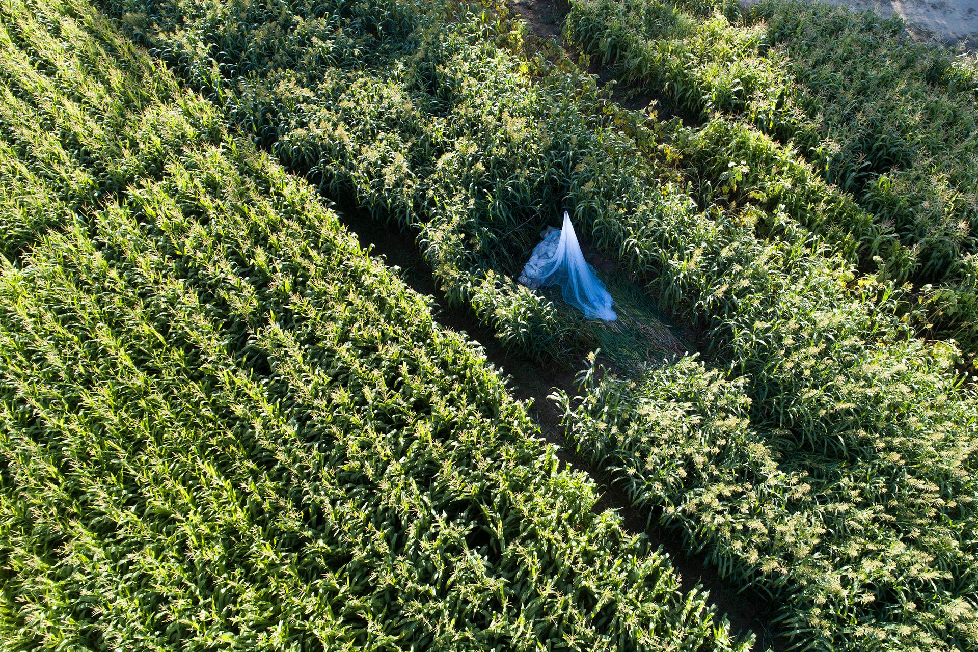 Poonehzar-Farm - image 15