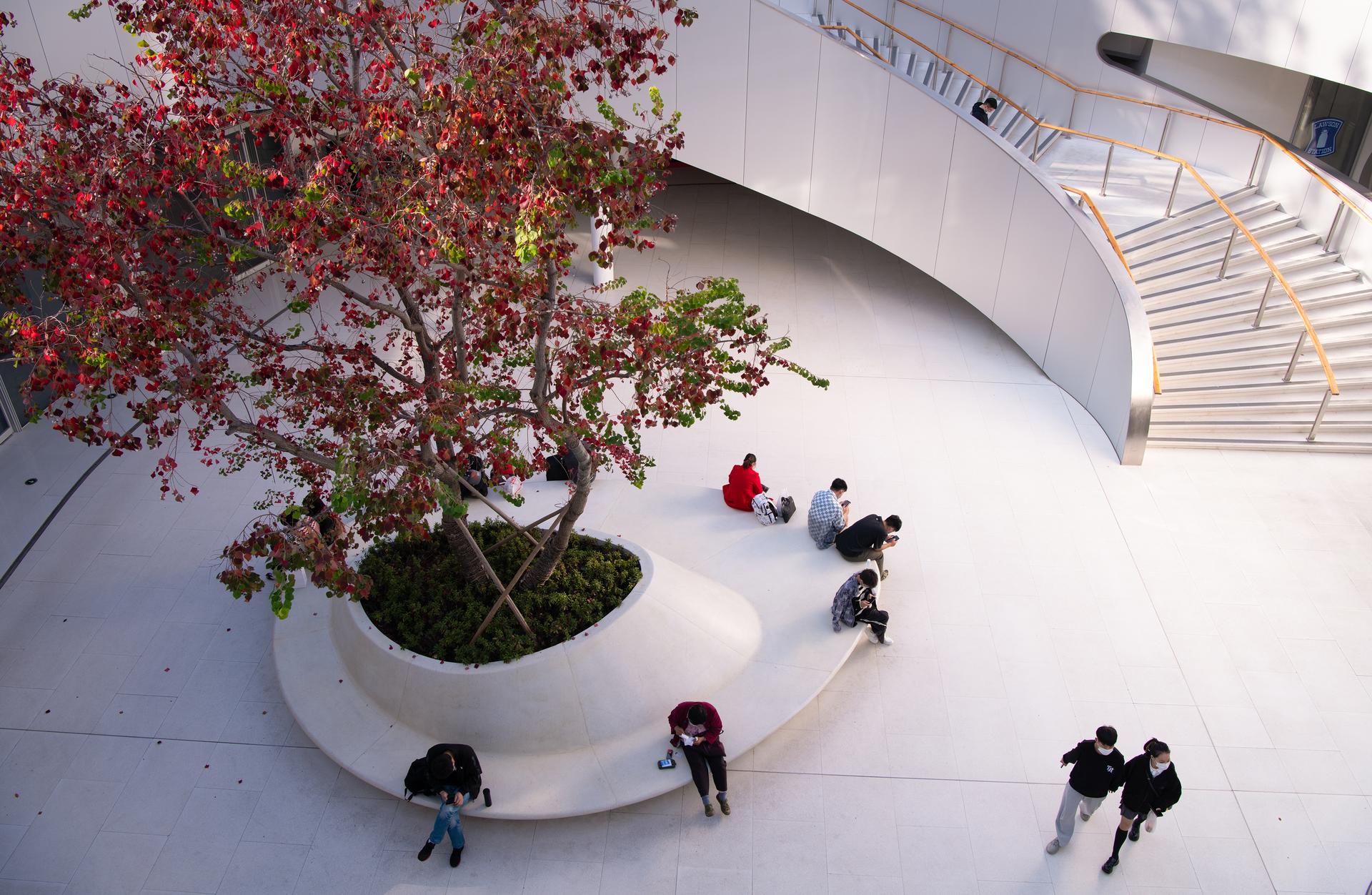 Jiaxing Train Station Park - image 8