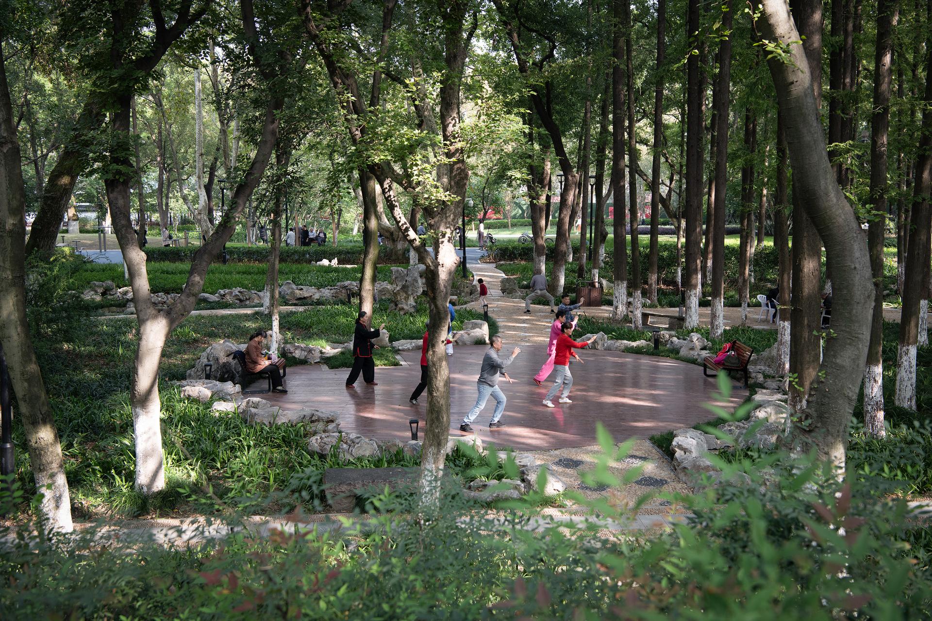 Jiaxing Train Station Park - image 13