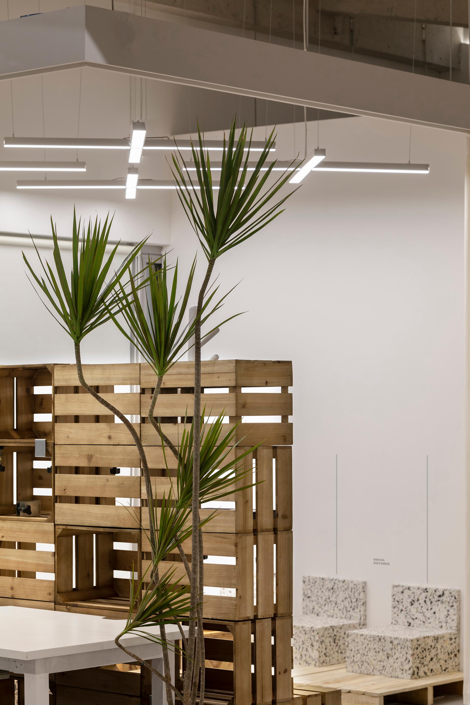 Ollie Studio Workplace Interior Design - image 34