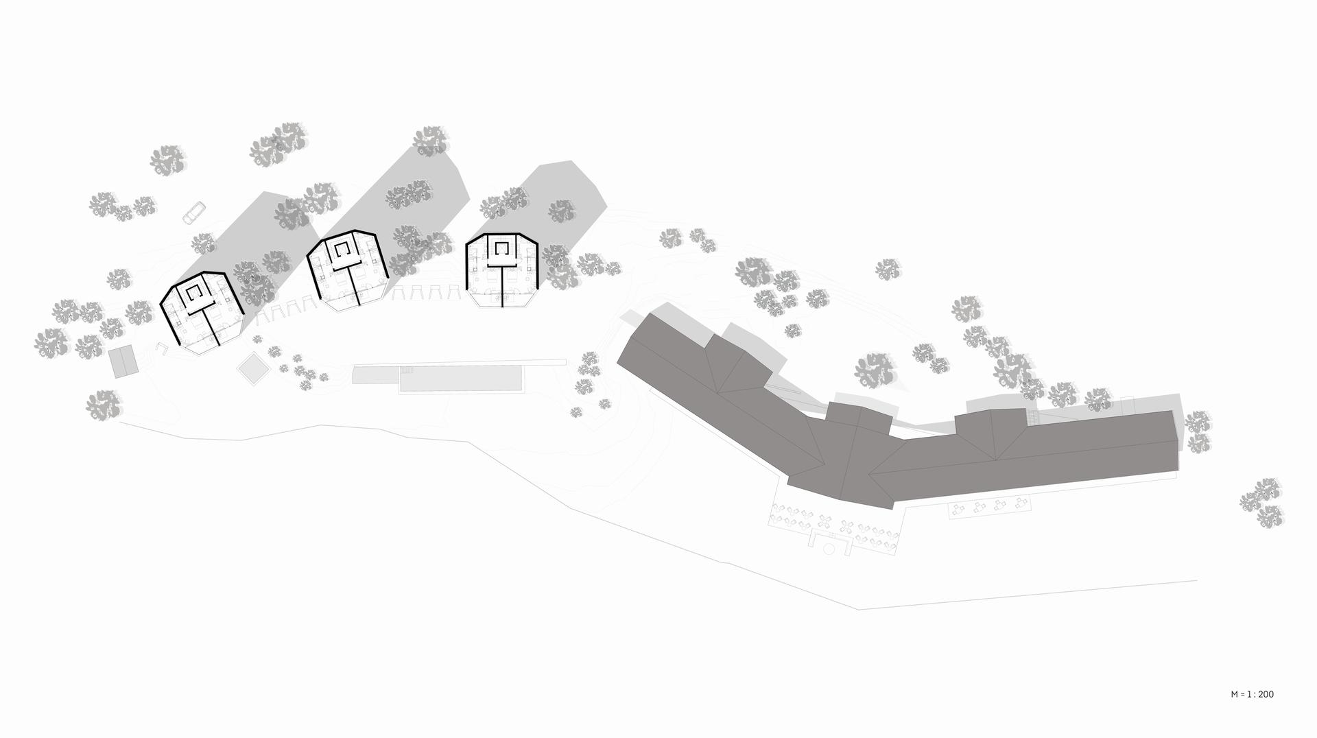 FORESTIS - image 2