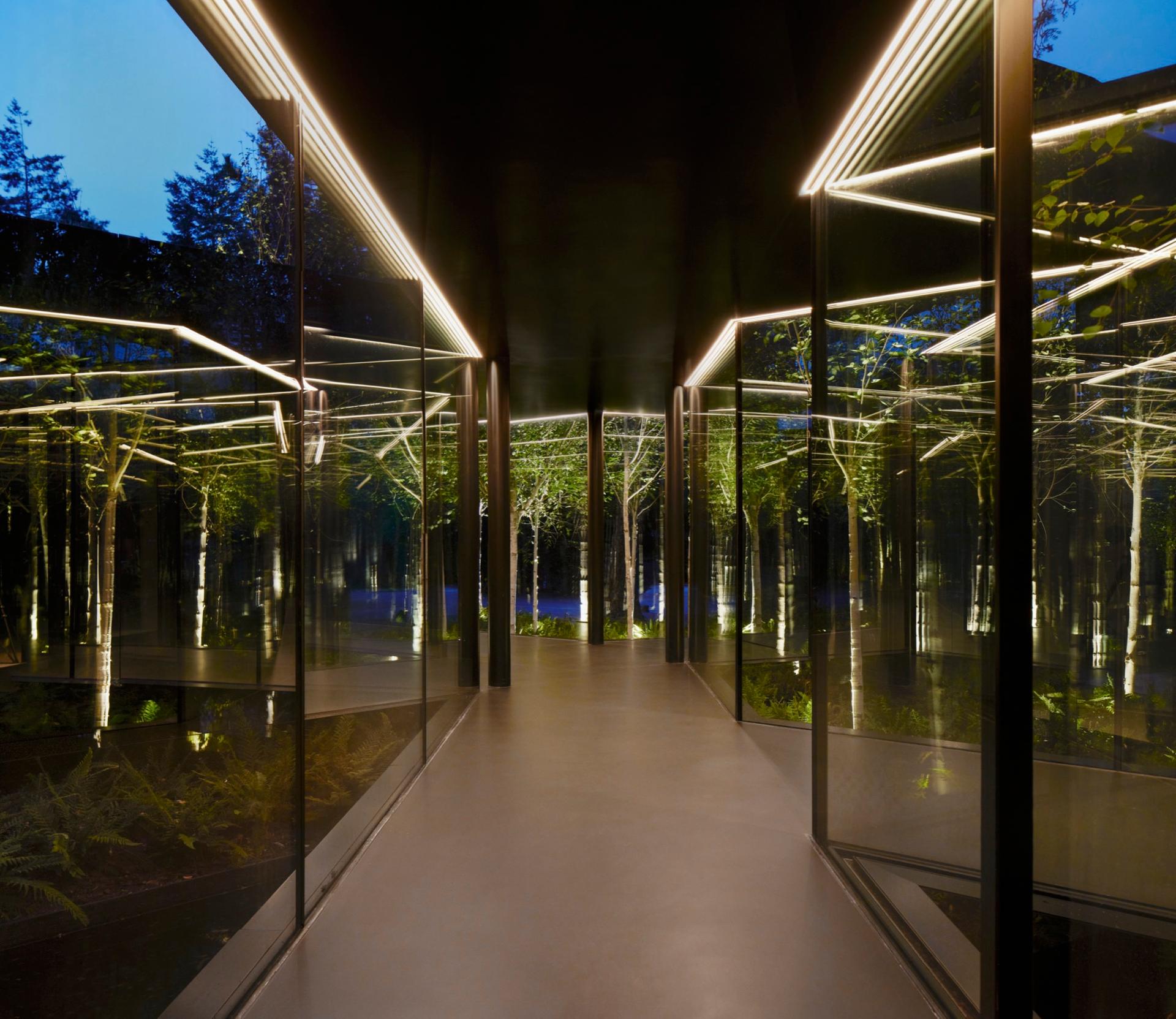 Invisible House - image 8