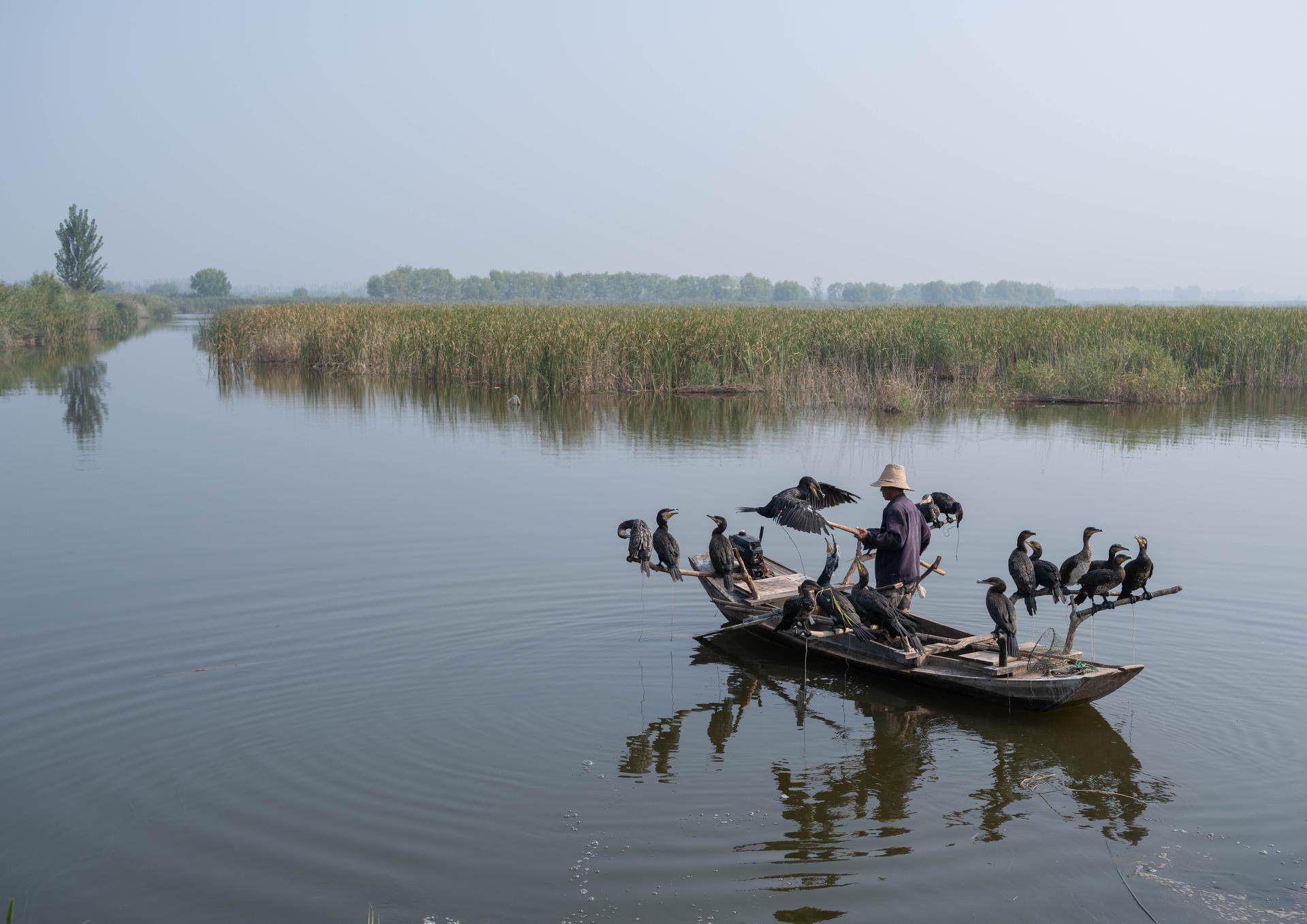 A Waterfront Homestead Reborn: Restorative Design in the Yangtze Delta Polders - image 6