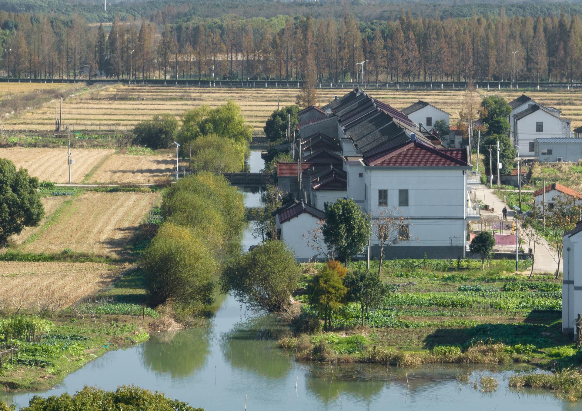 A Waterfront Homestead Reborn: Restorative Design in the Yangtze Delta Polders - image 9