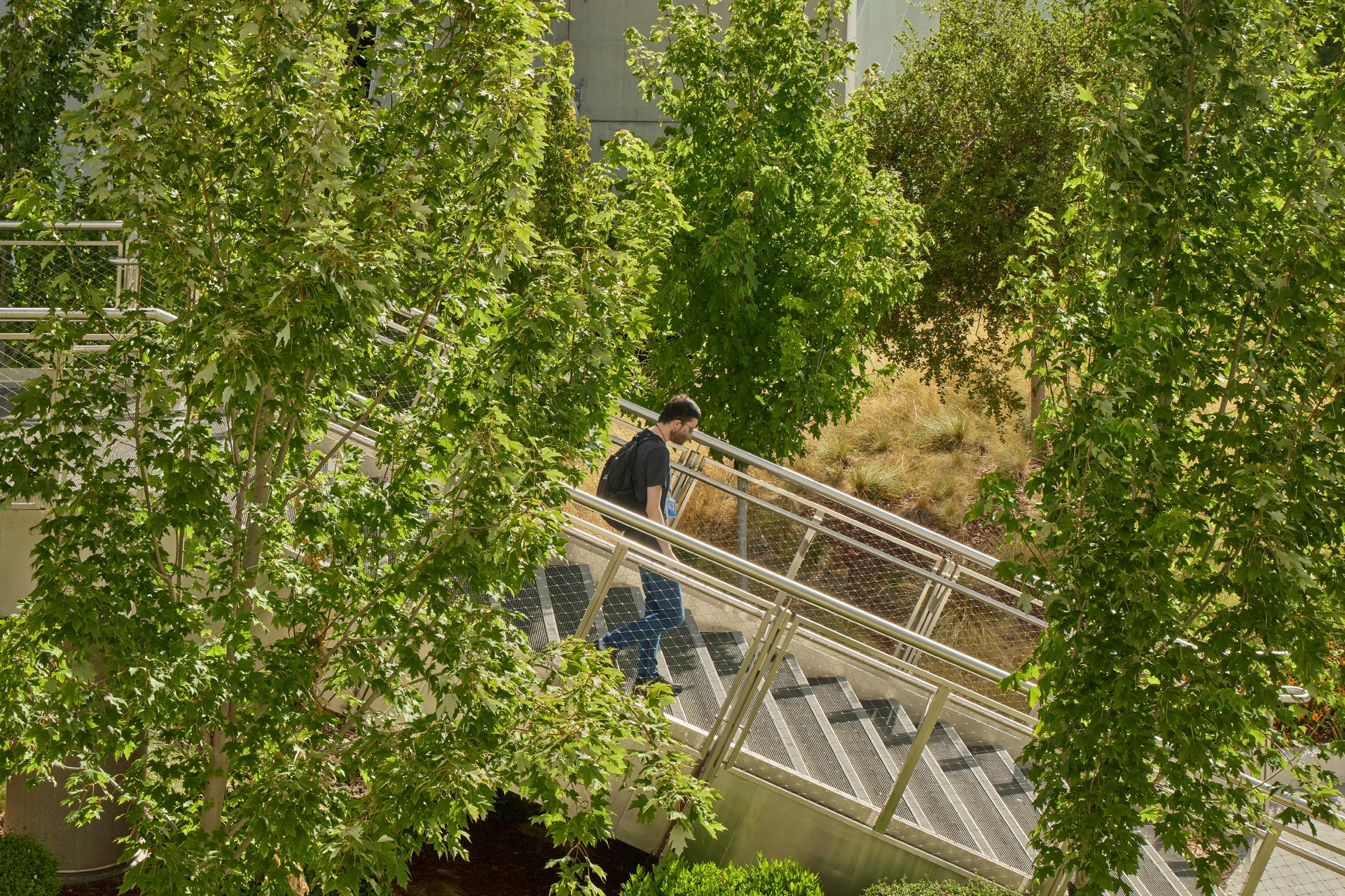 Workday + BART Innovation Plaza - image 12