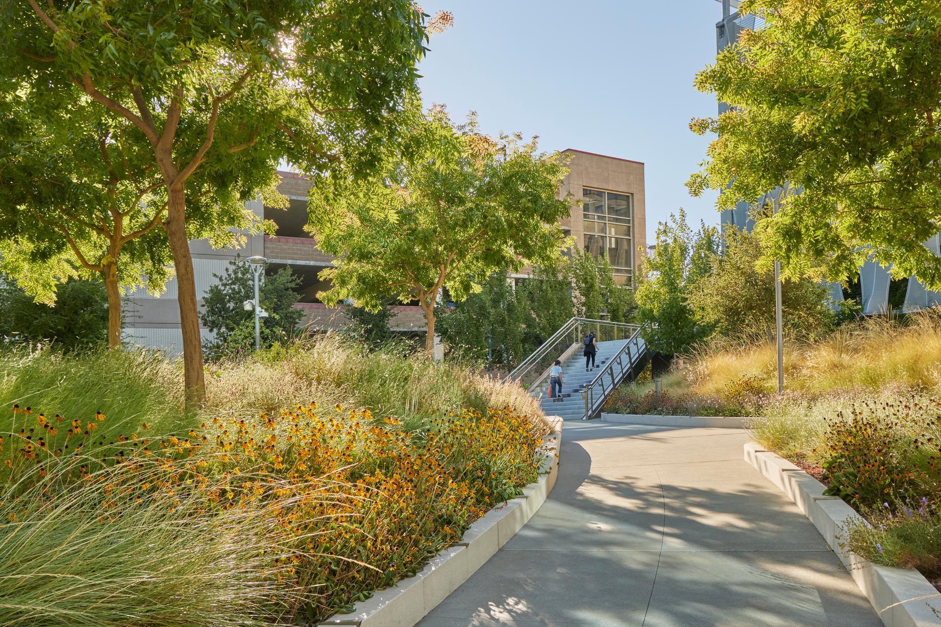Workday + BART Innovation Plaza - image 3