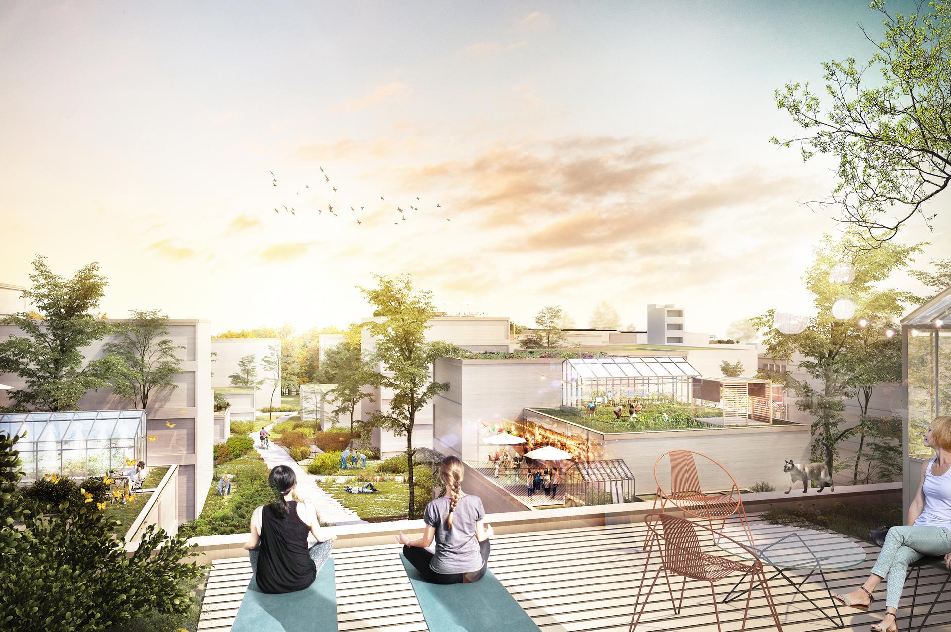 City Zen - image 4