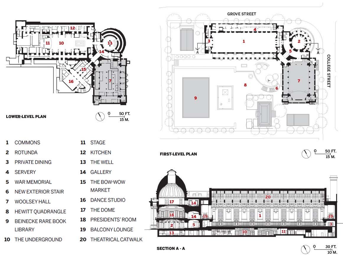 The Schwarzman Center Renovation at Yale University - image 14