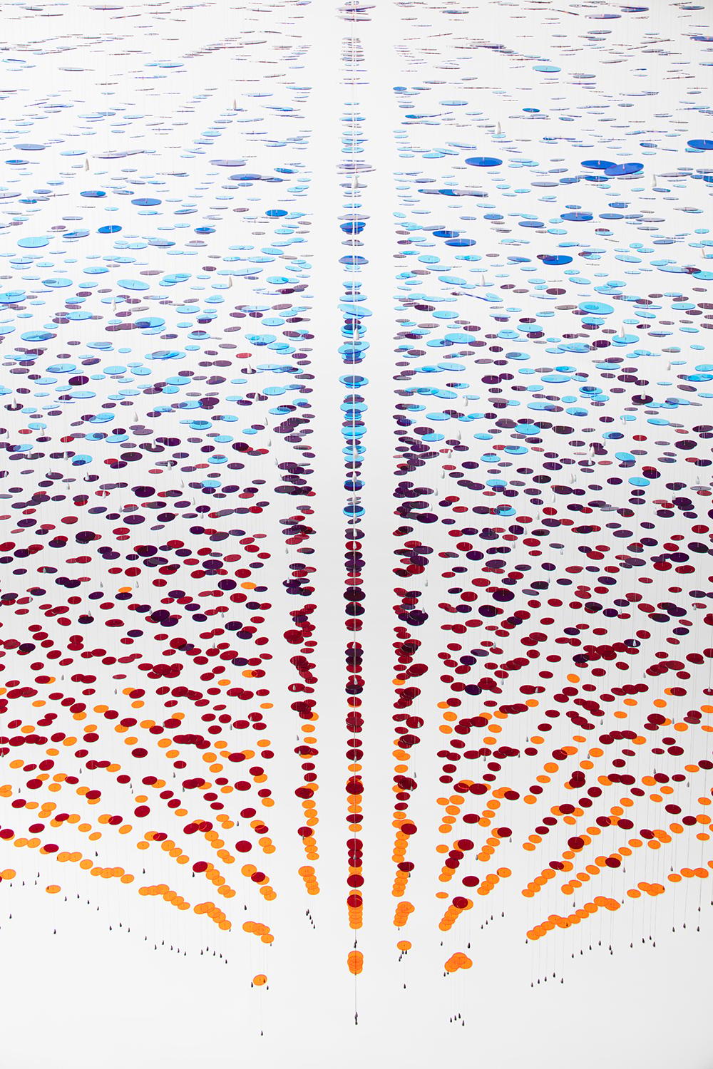 Binary Spectrum - image 5