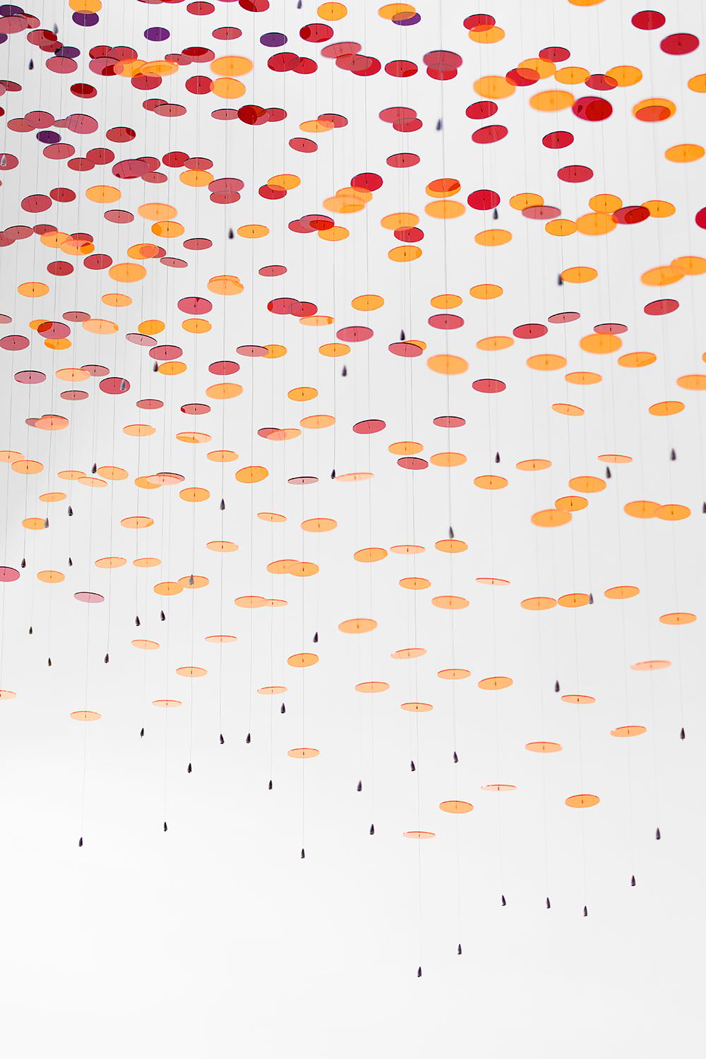 Binary Spectrum - image 10