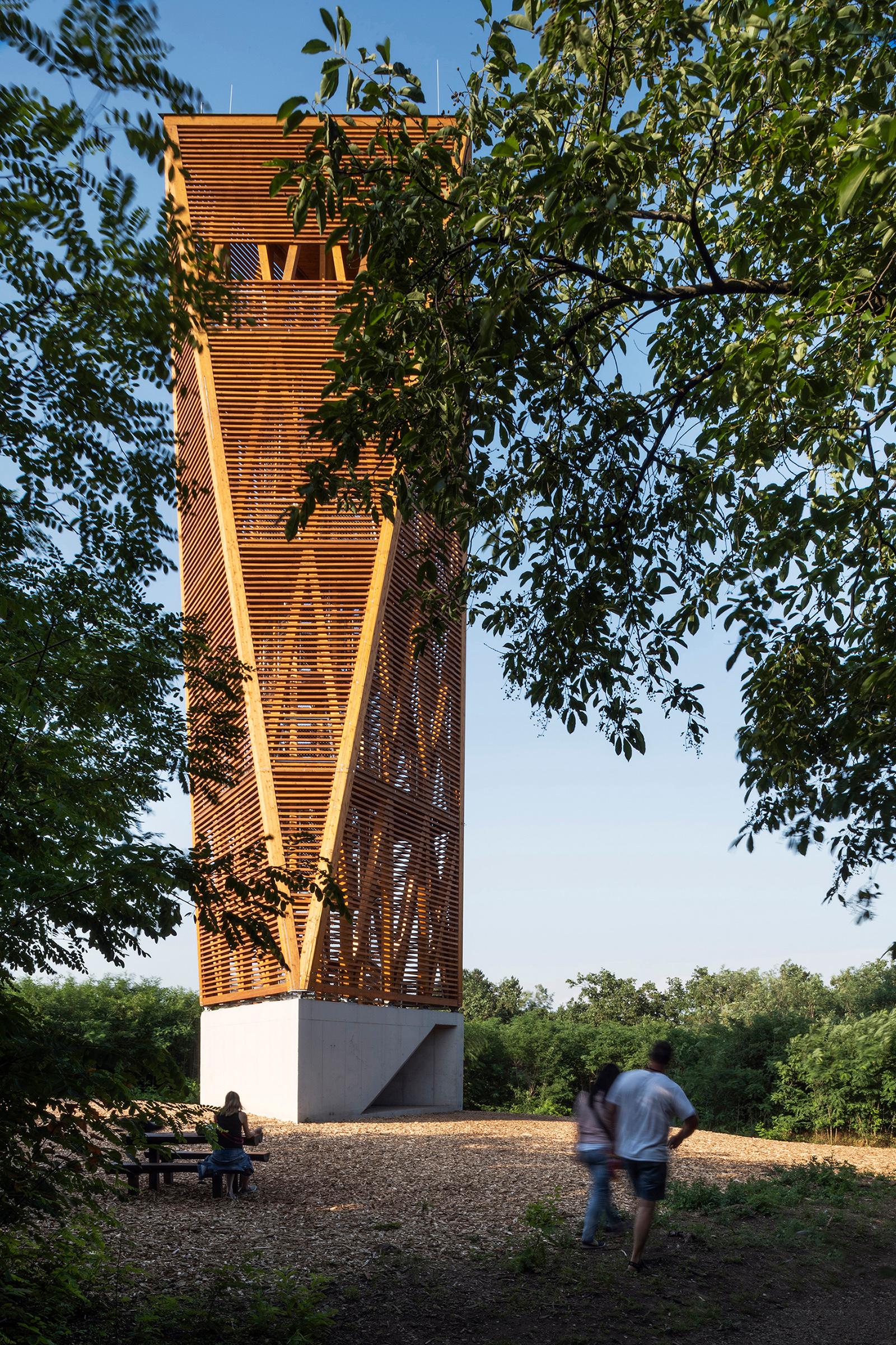 Lookout Tower - image 5