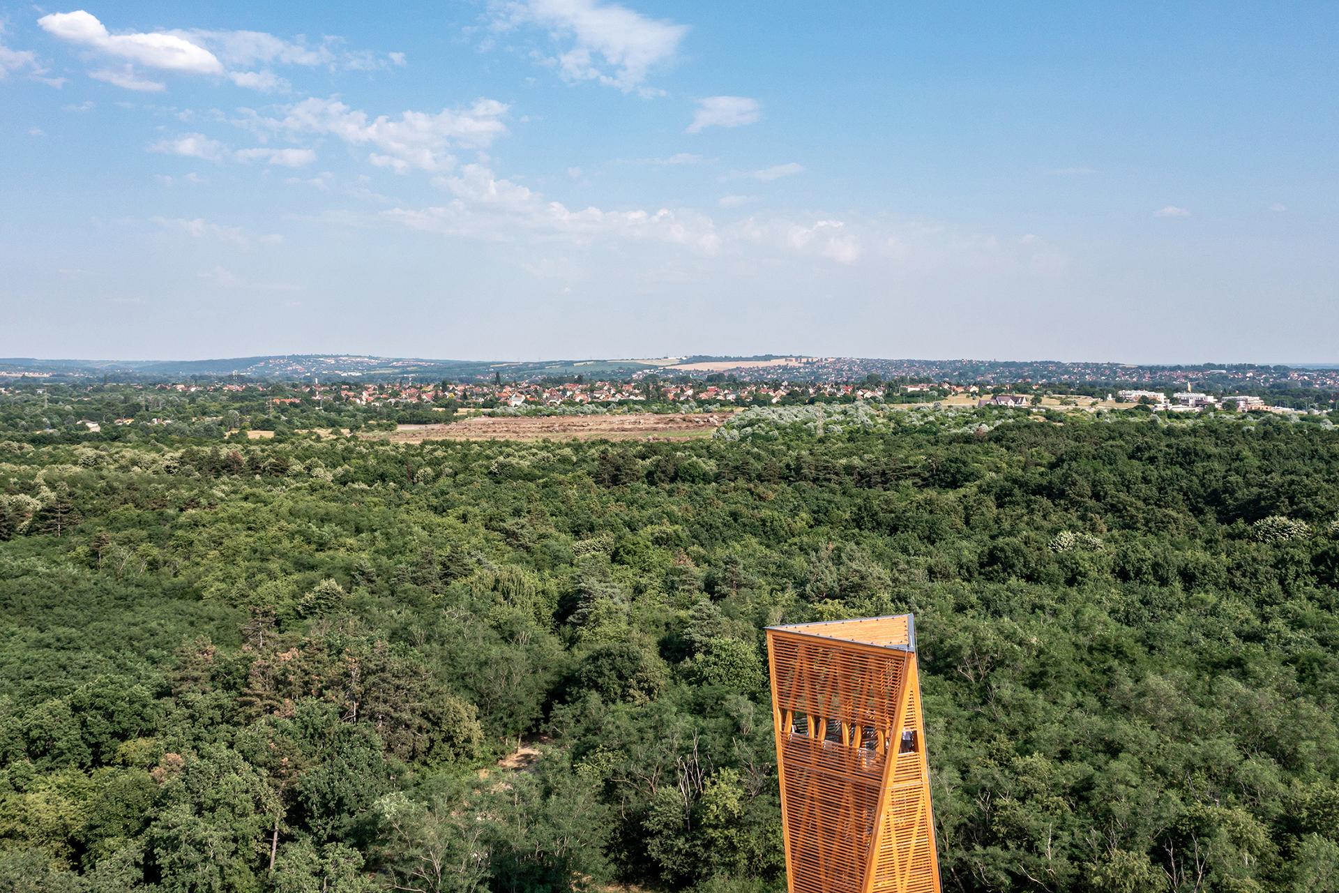Lookout Tower - image 2