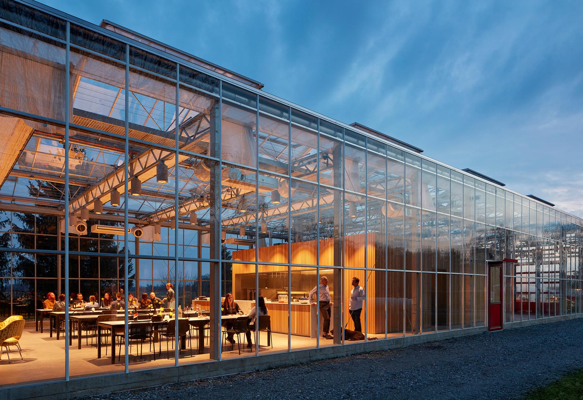 Granor Greenhouse - image 19