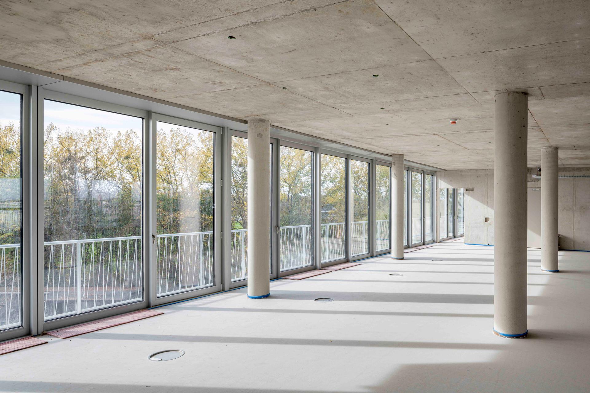 Hammerschmidt - image 5