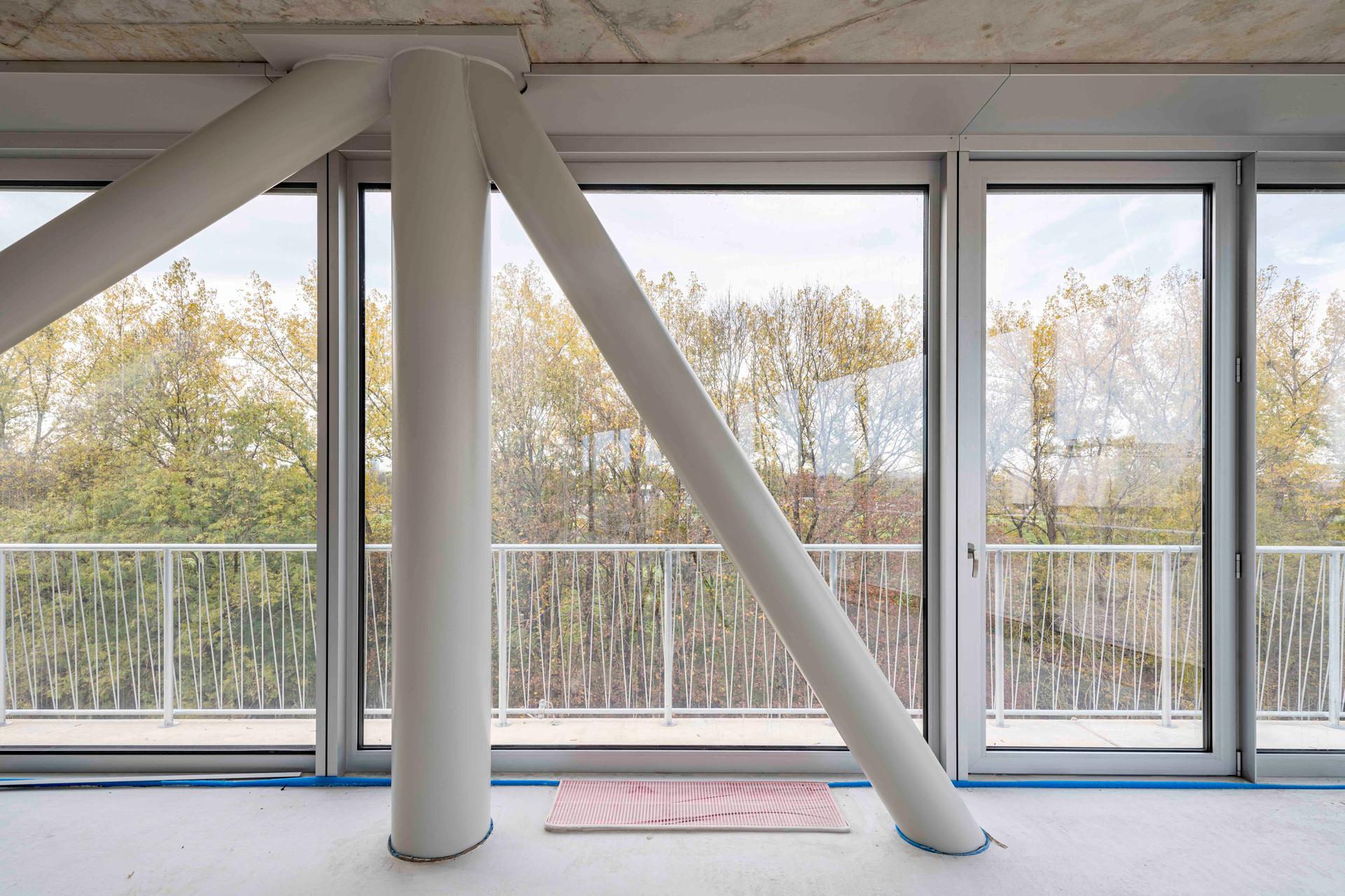 Hammerschmidt - image 7