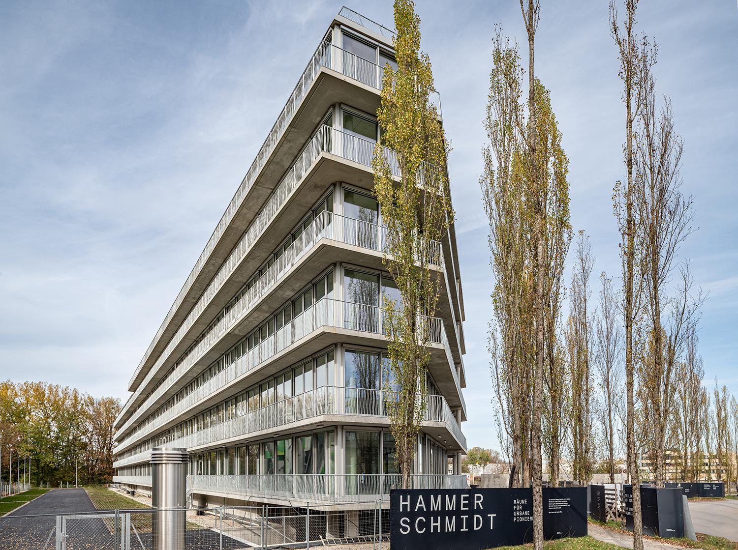 Hammerschmidt - image 2