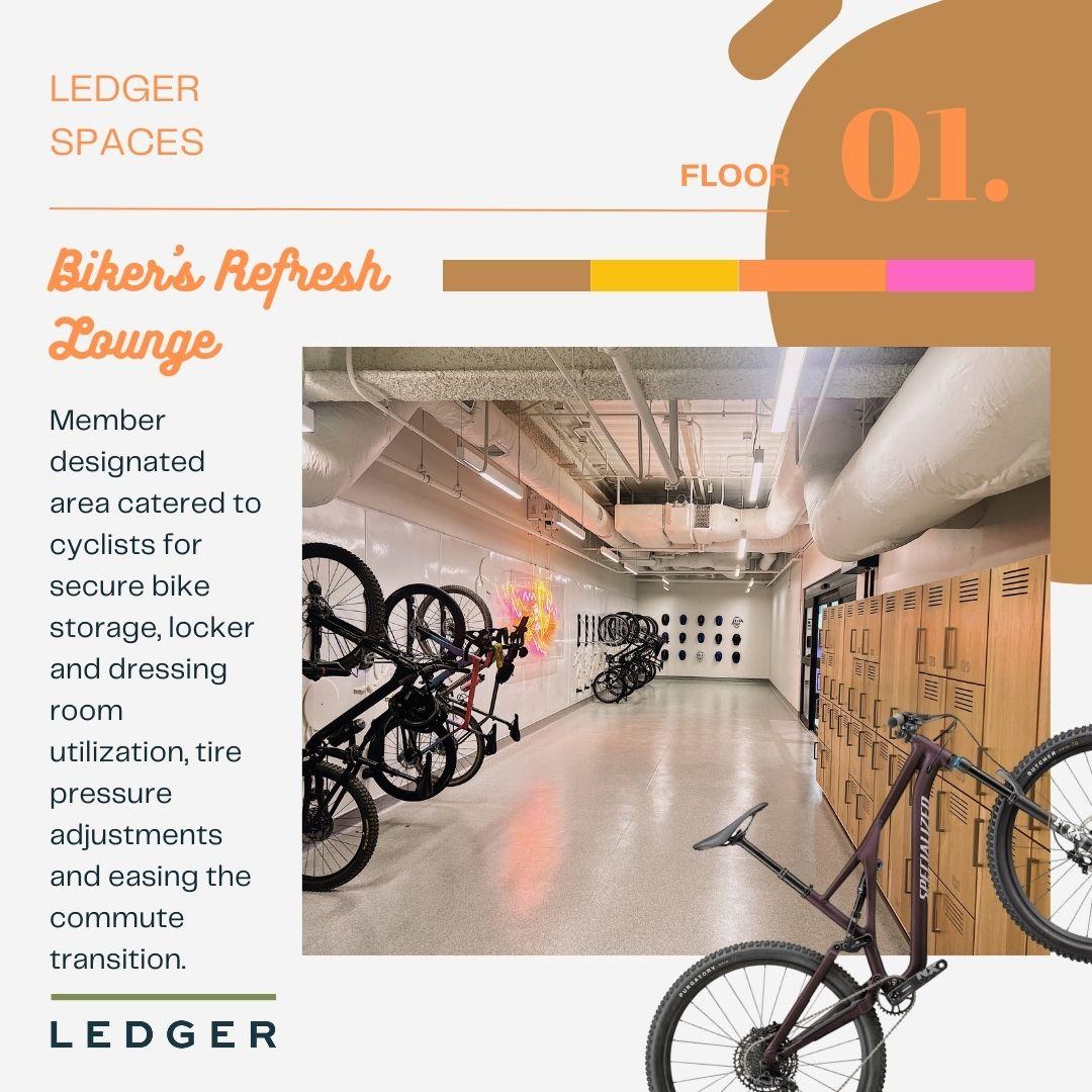 Ledger - image 7
