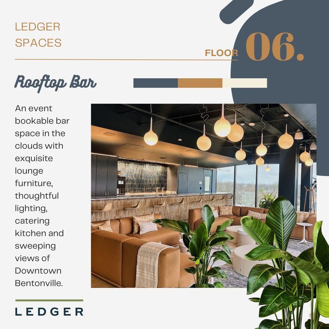 Ledger - image 12