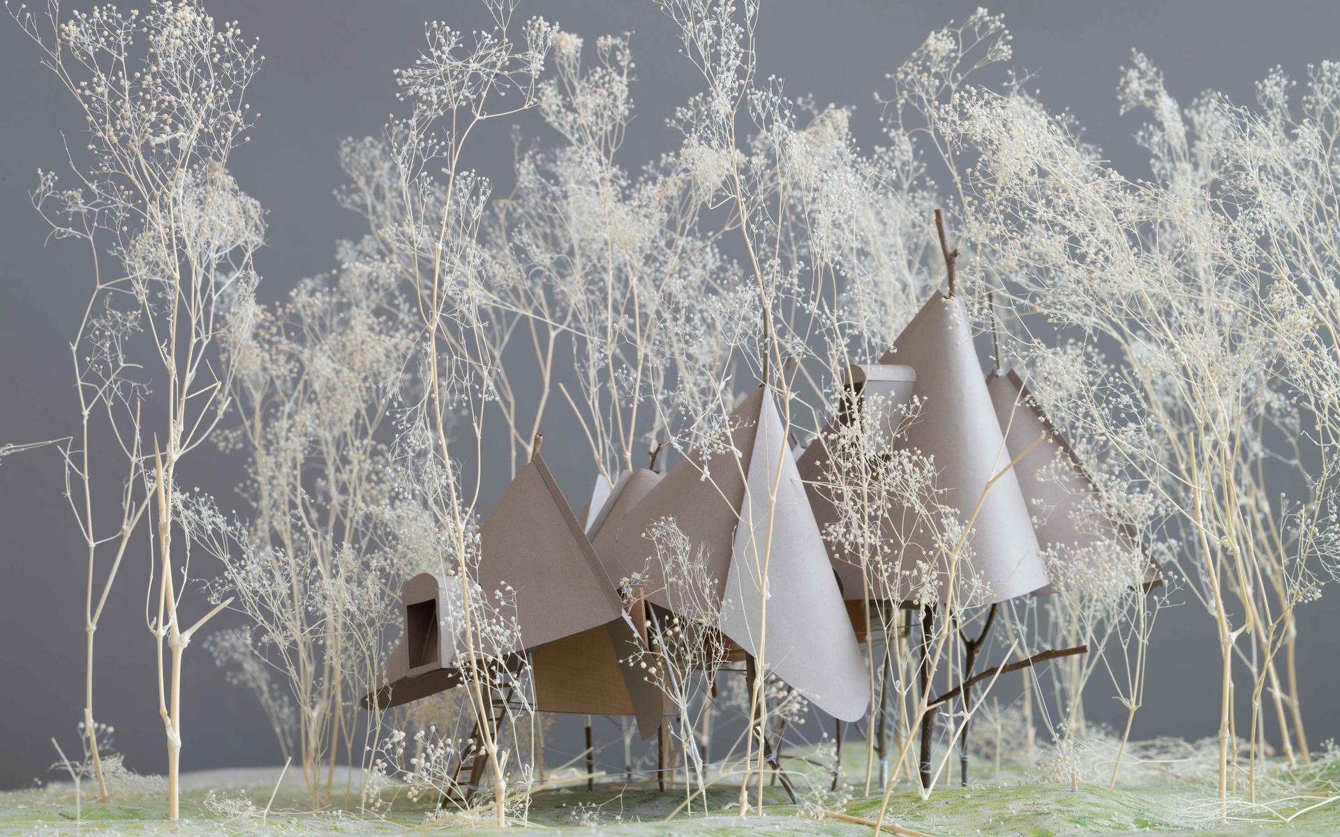 Tree House - image 4