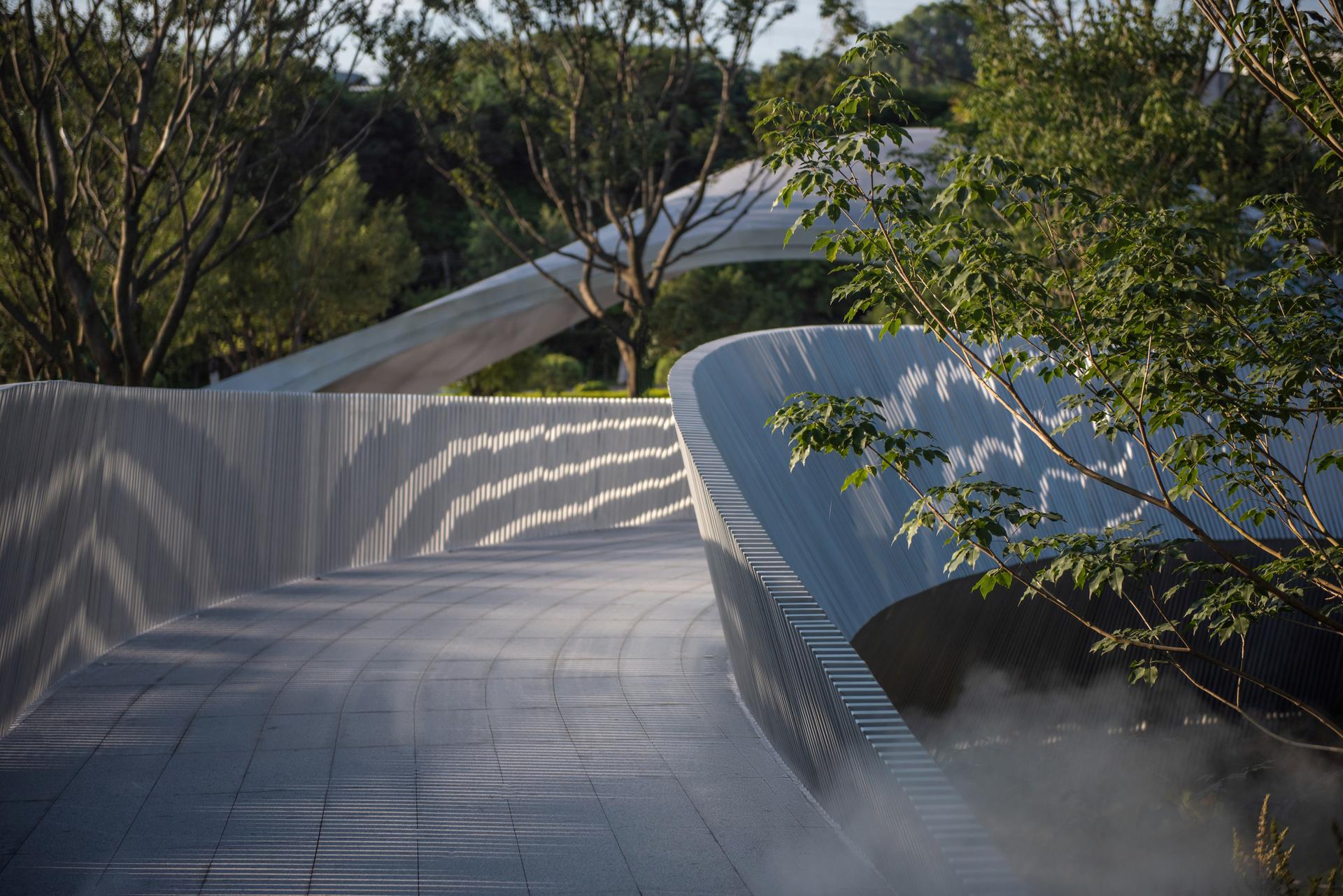 Eucalyptus Society Garden - image 12