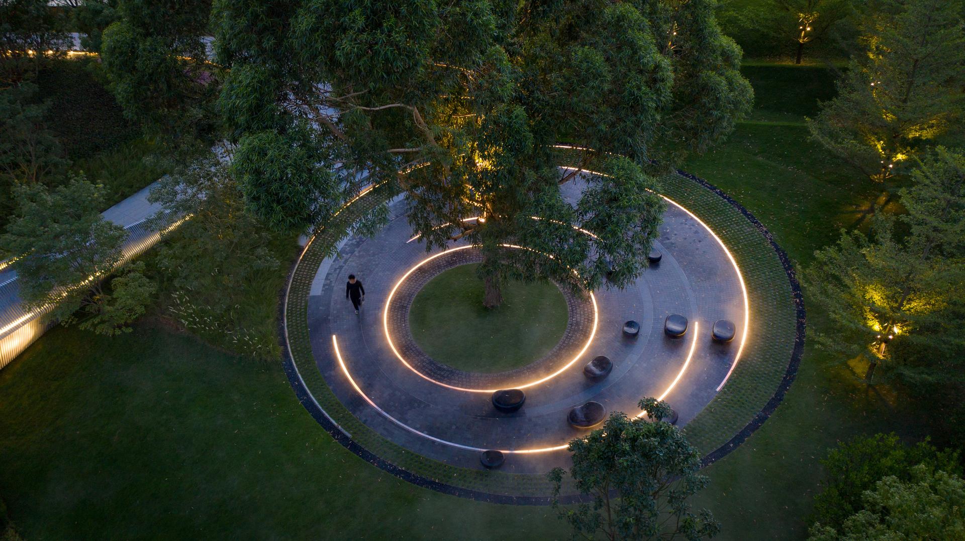 Eucalyptus Society Garden - image 5
