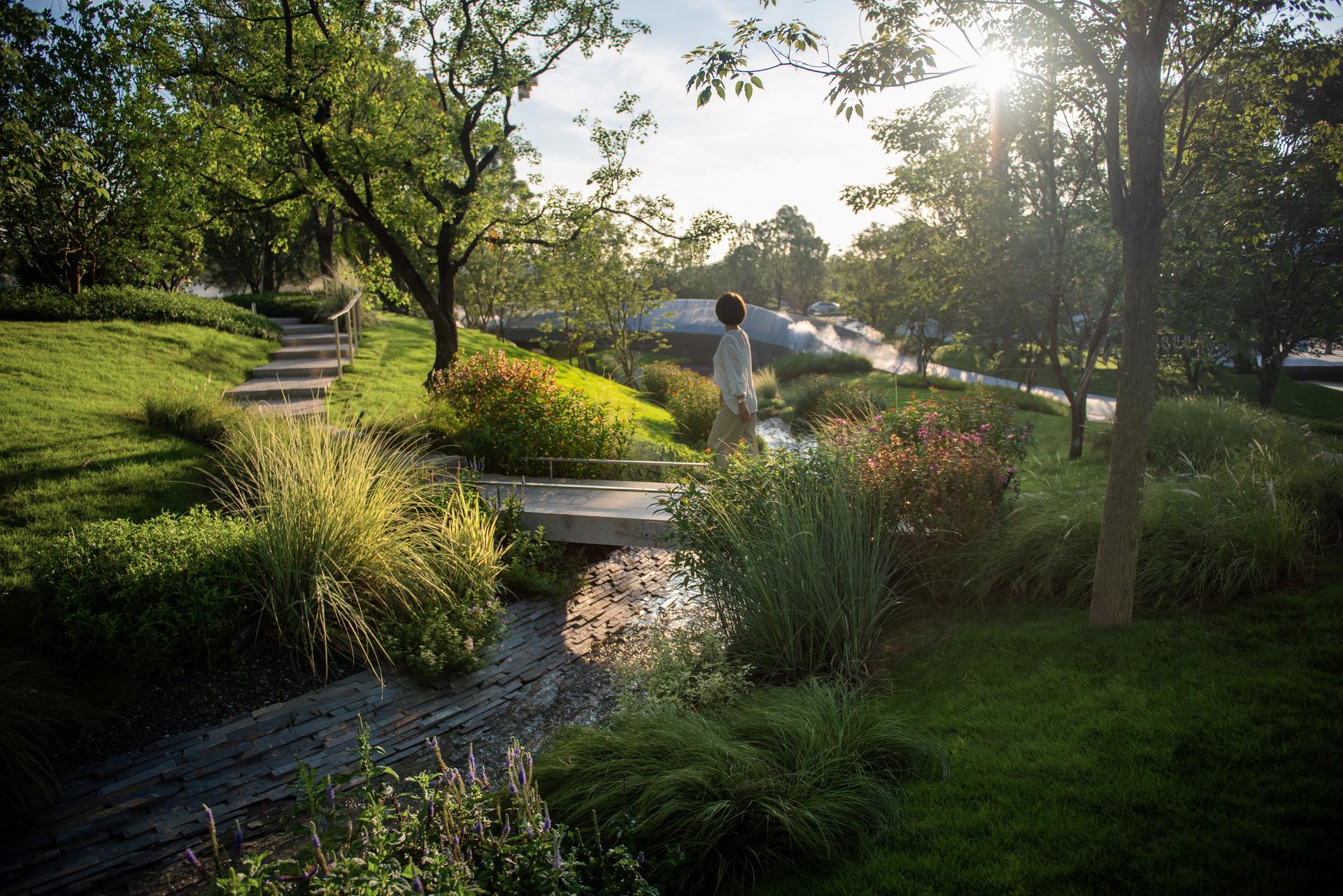 Eucalyptus Society Garden - image 10