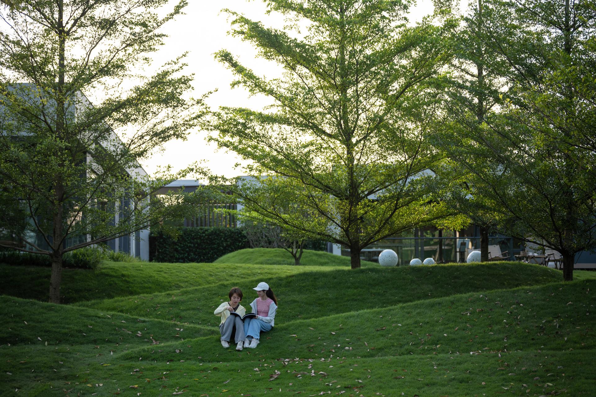 Eucalyptus Society Garden - image 9