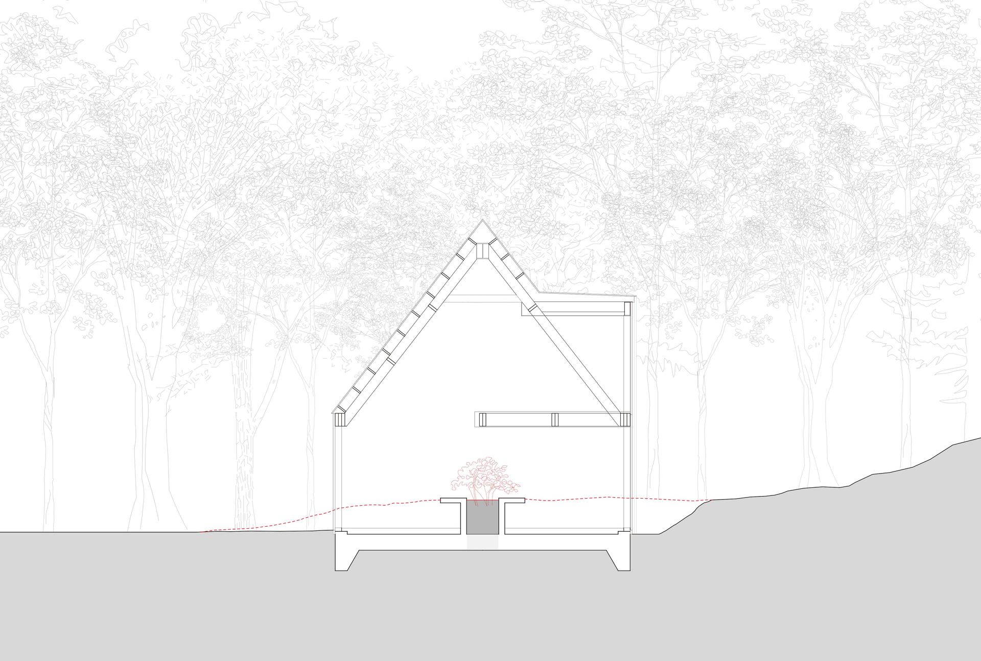 Forest Edge - image 14
