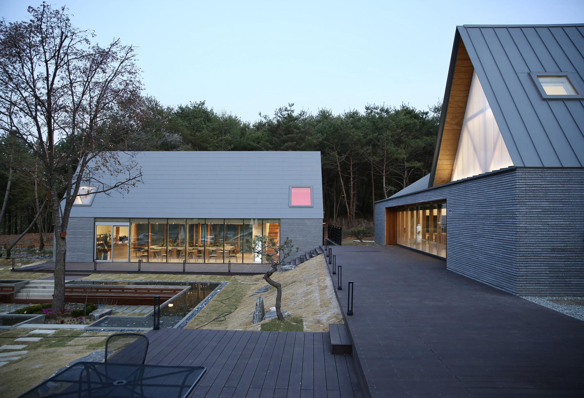 Forest Edge - image 9