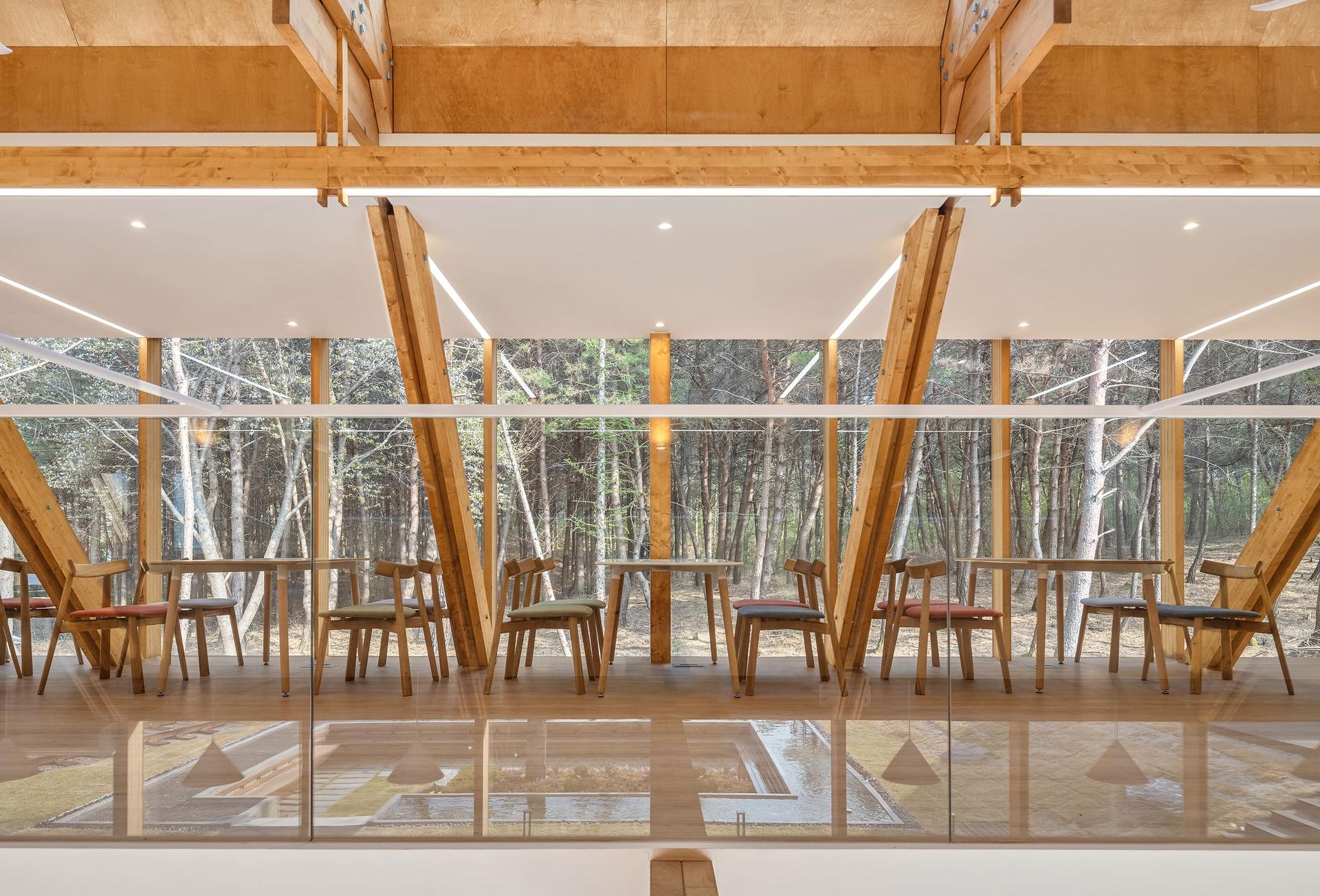 Forest Edge - image 12