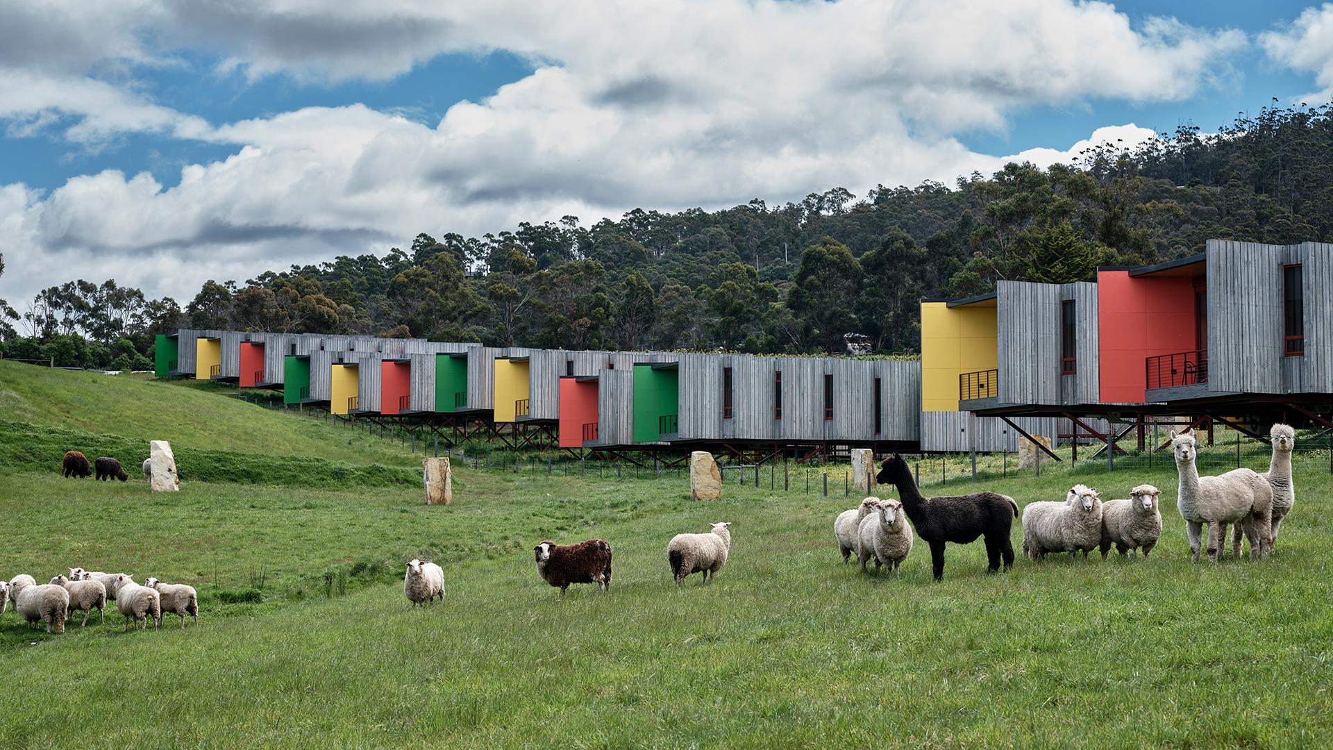 Iron Creek Bay Farm Stay - image 5