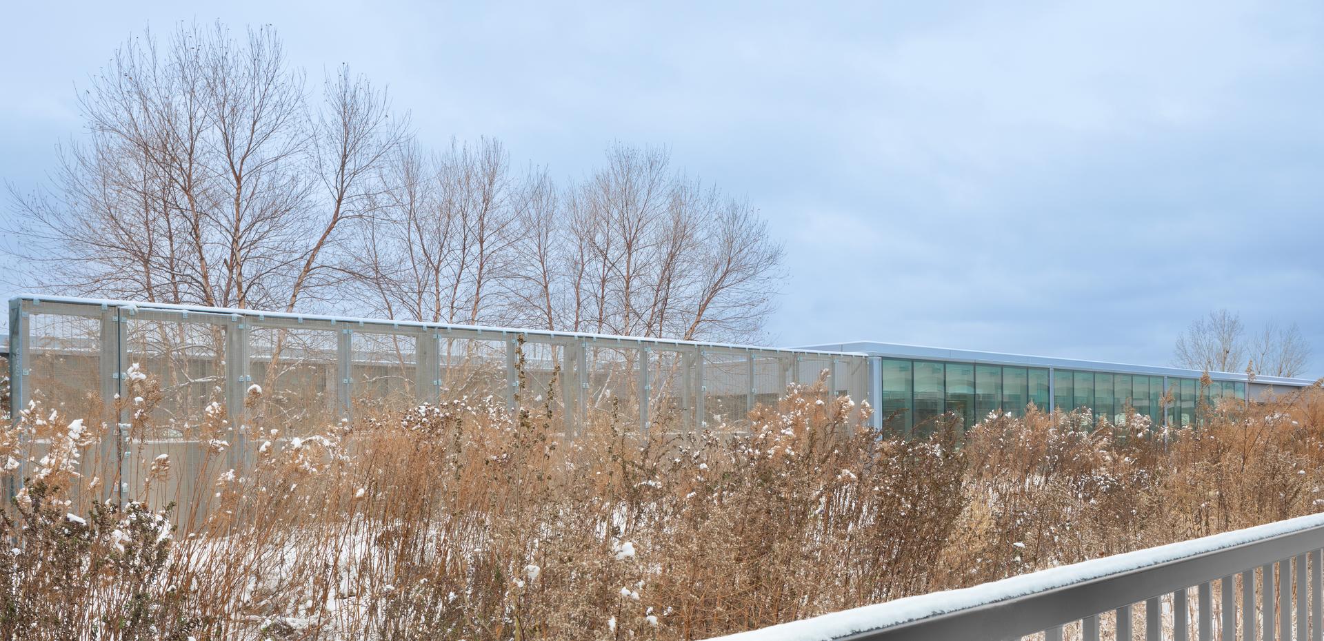 Guildwood GO Station - image 12