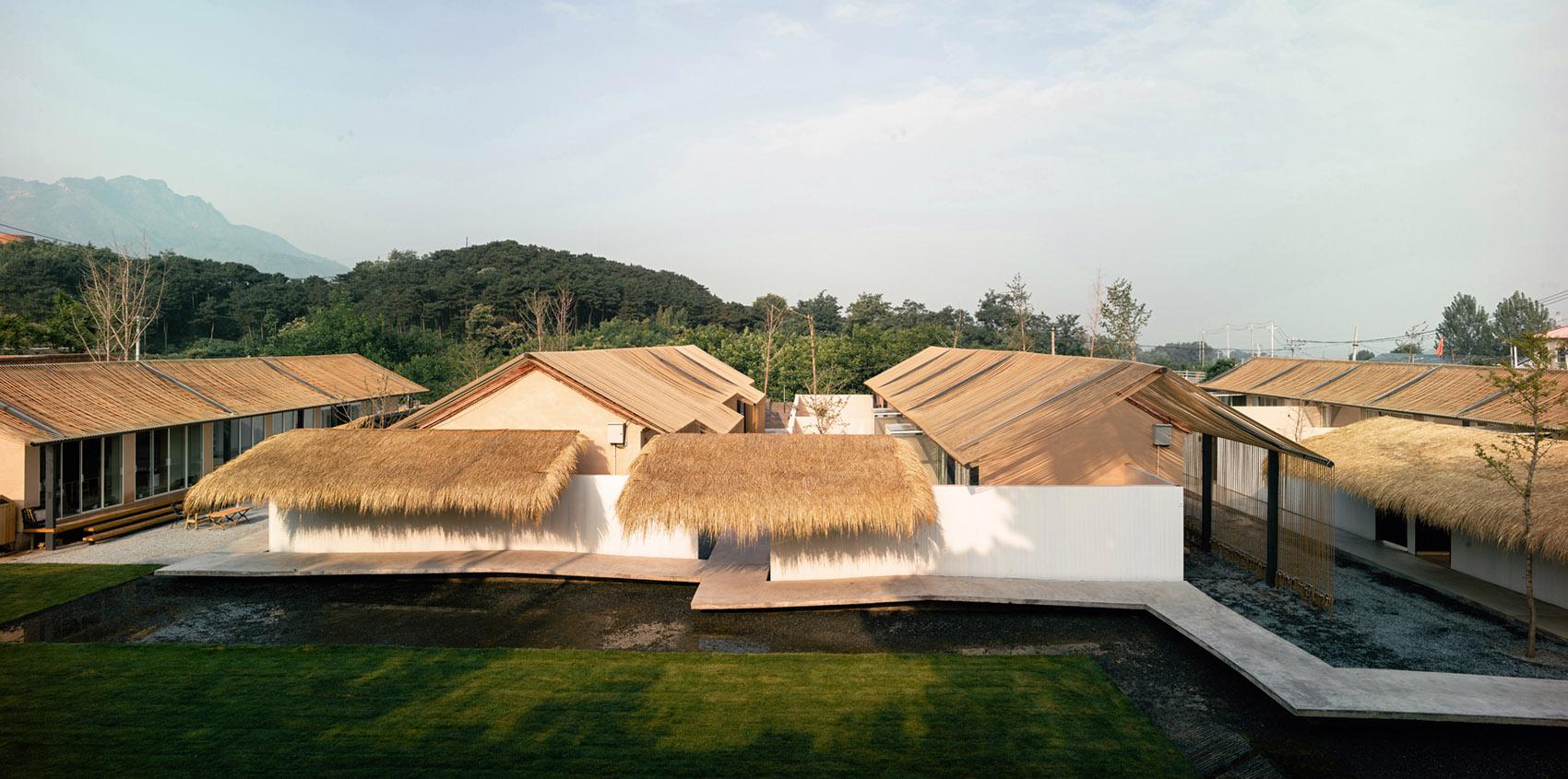 Beijing MM Farm - image 5