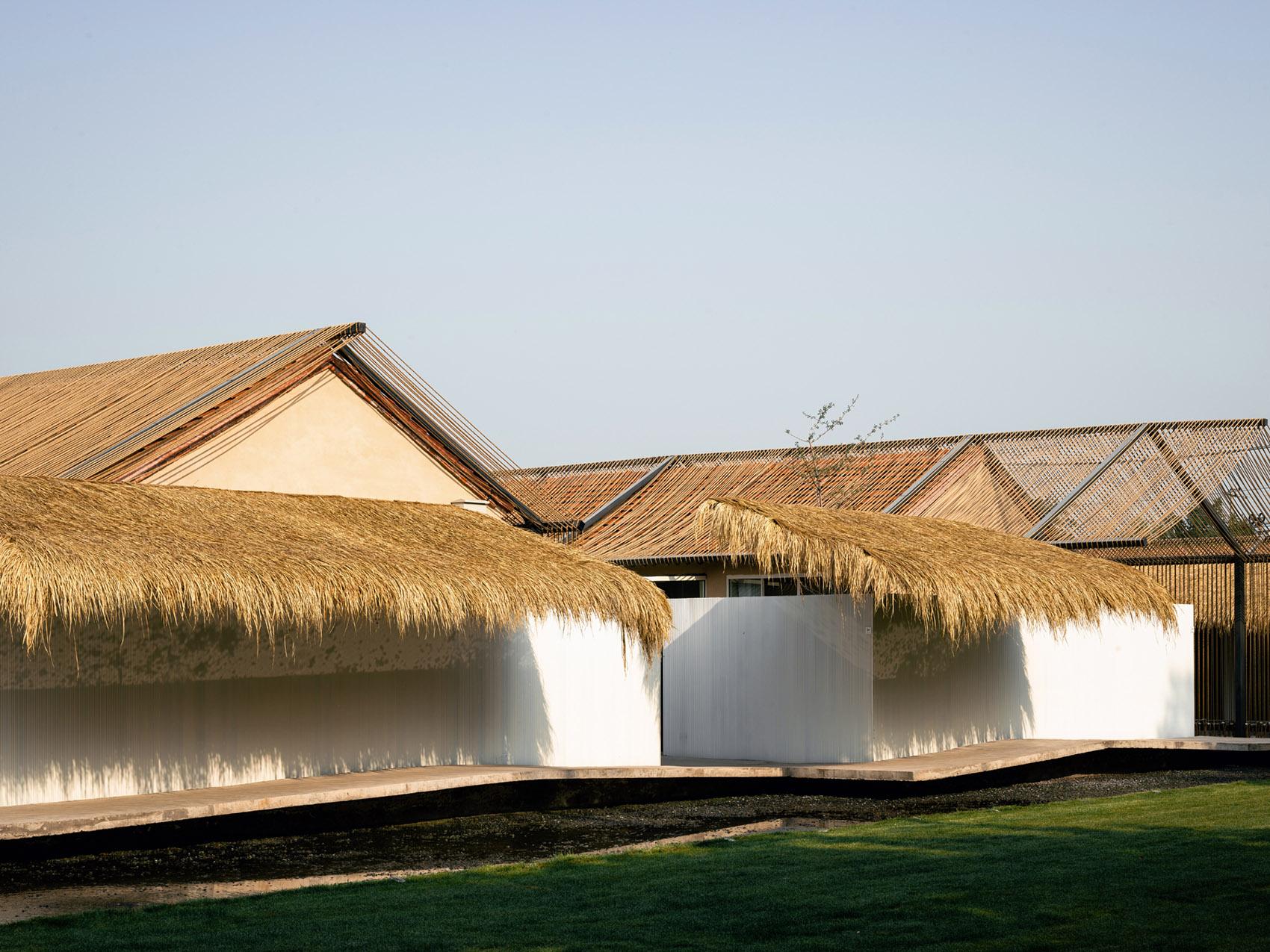 Beijing MM Farm - image 12