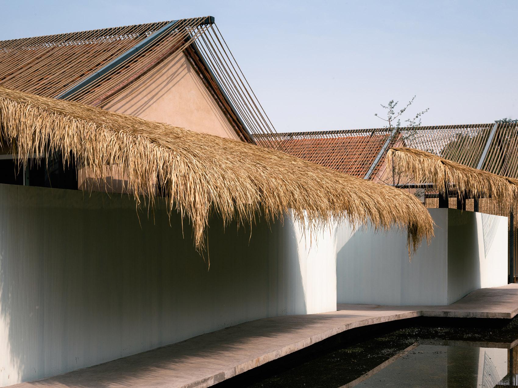 Beijing MM Farm - image 13
