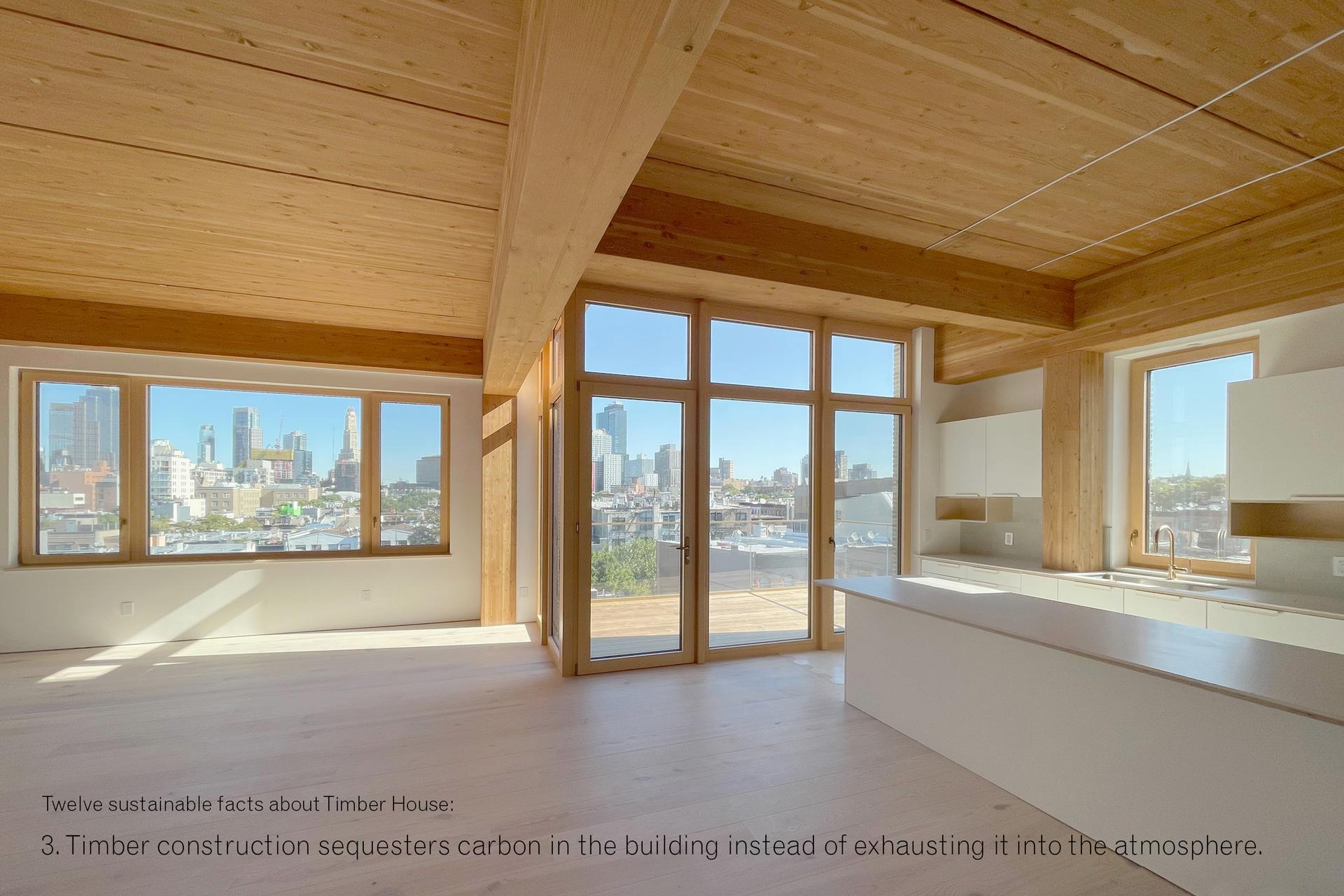 Timber House - image 4