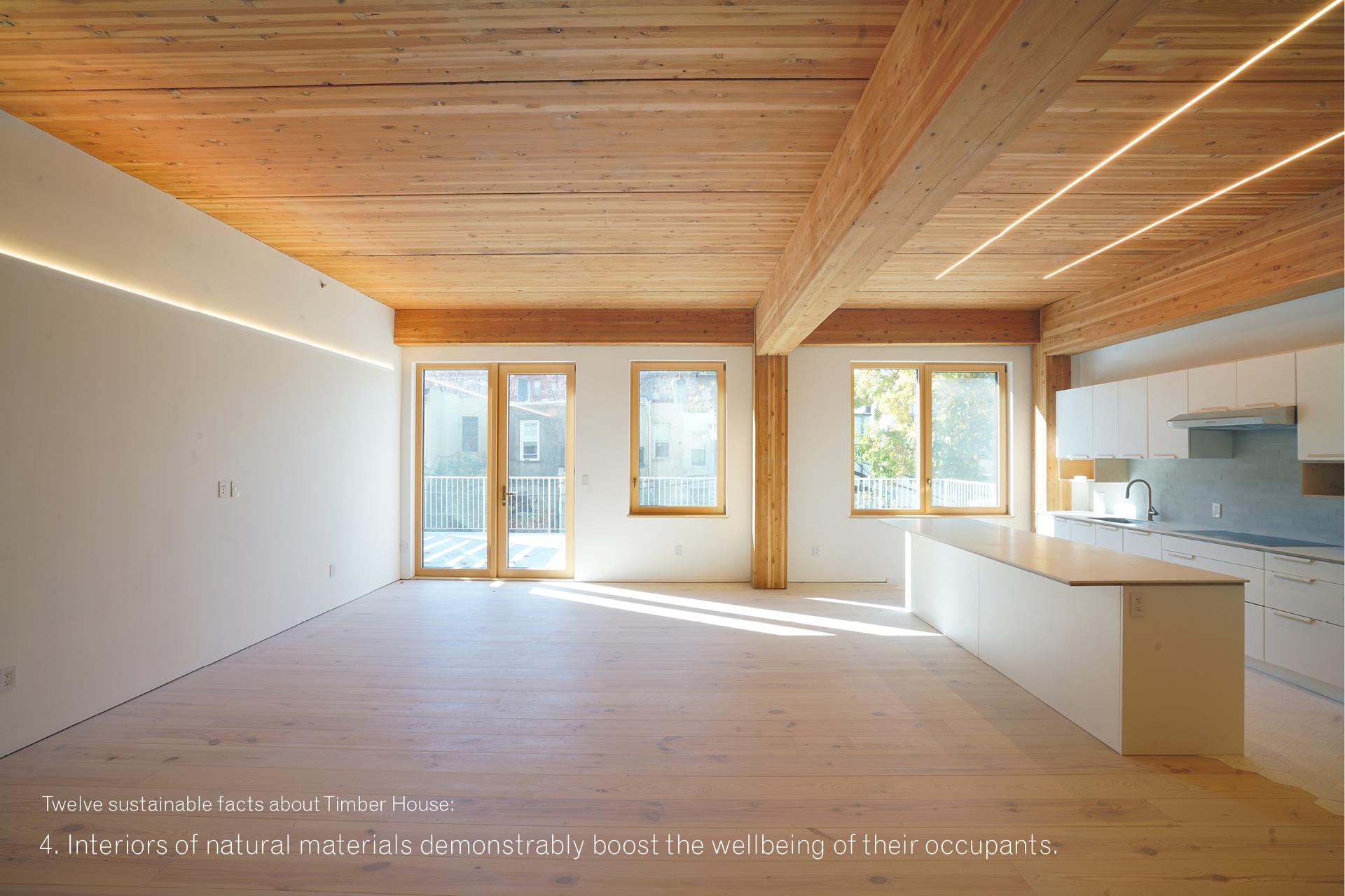 Timber House - image 5