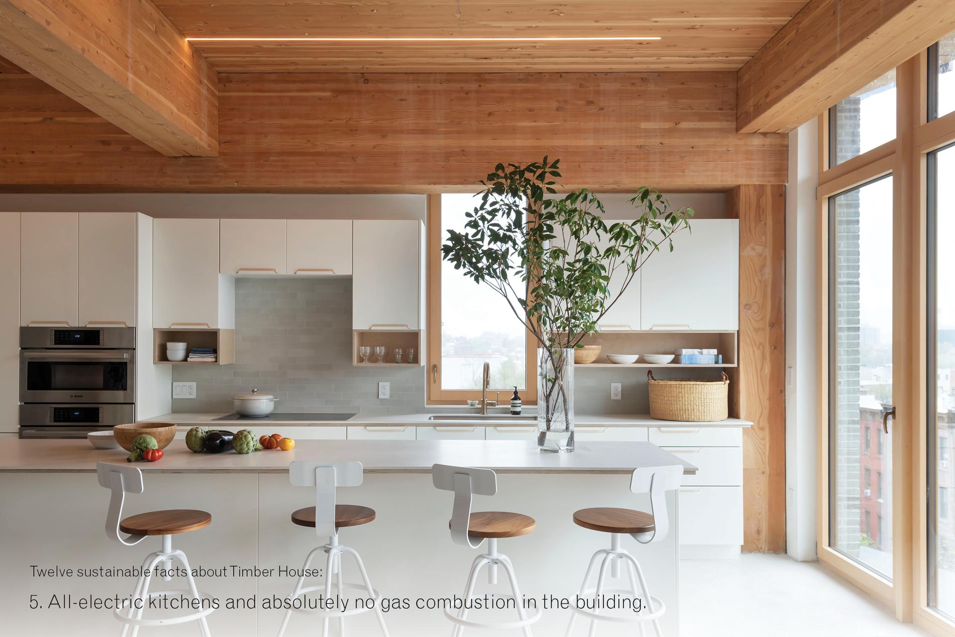 Timber House - image 6