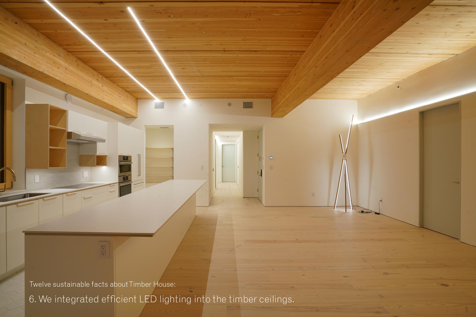 Timber House - image 7