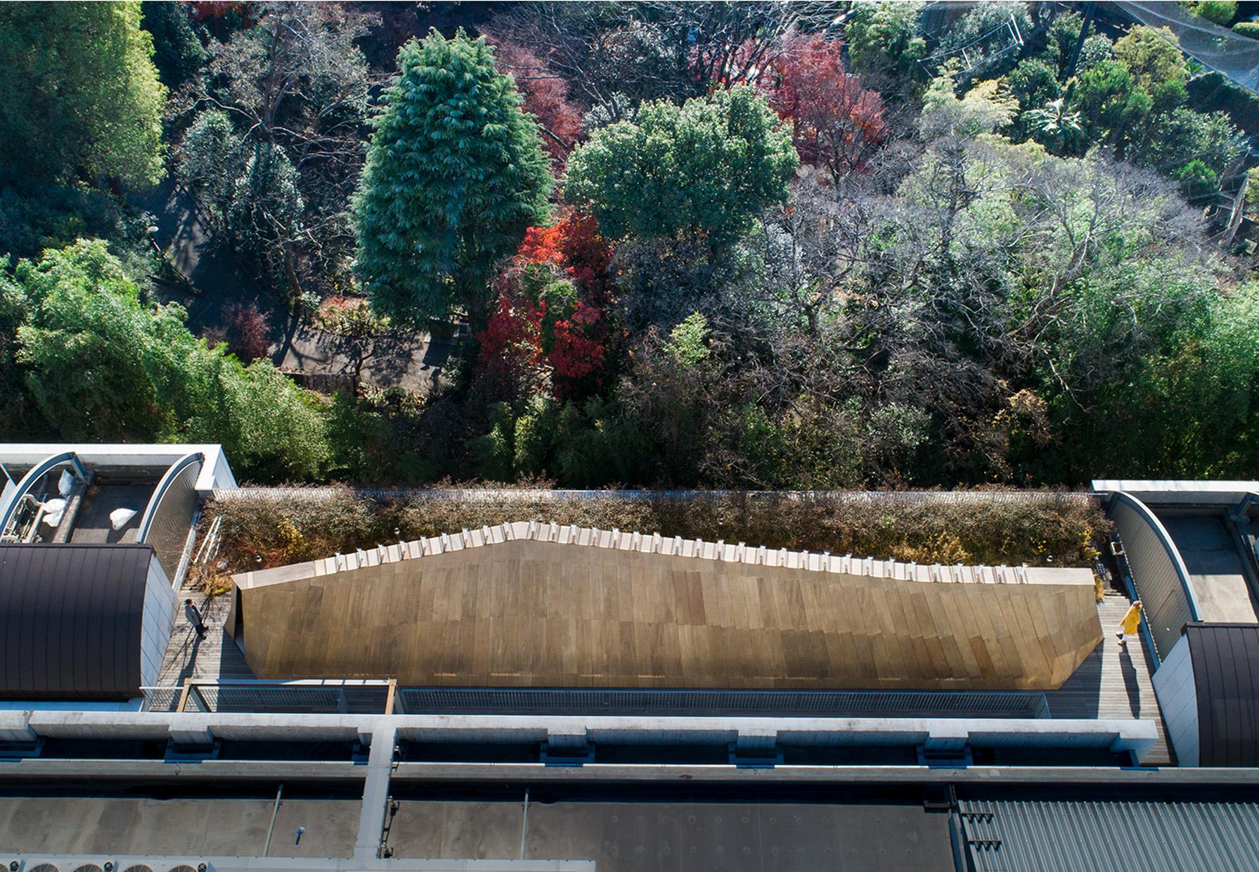 Ripple - image 7