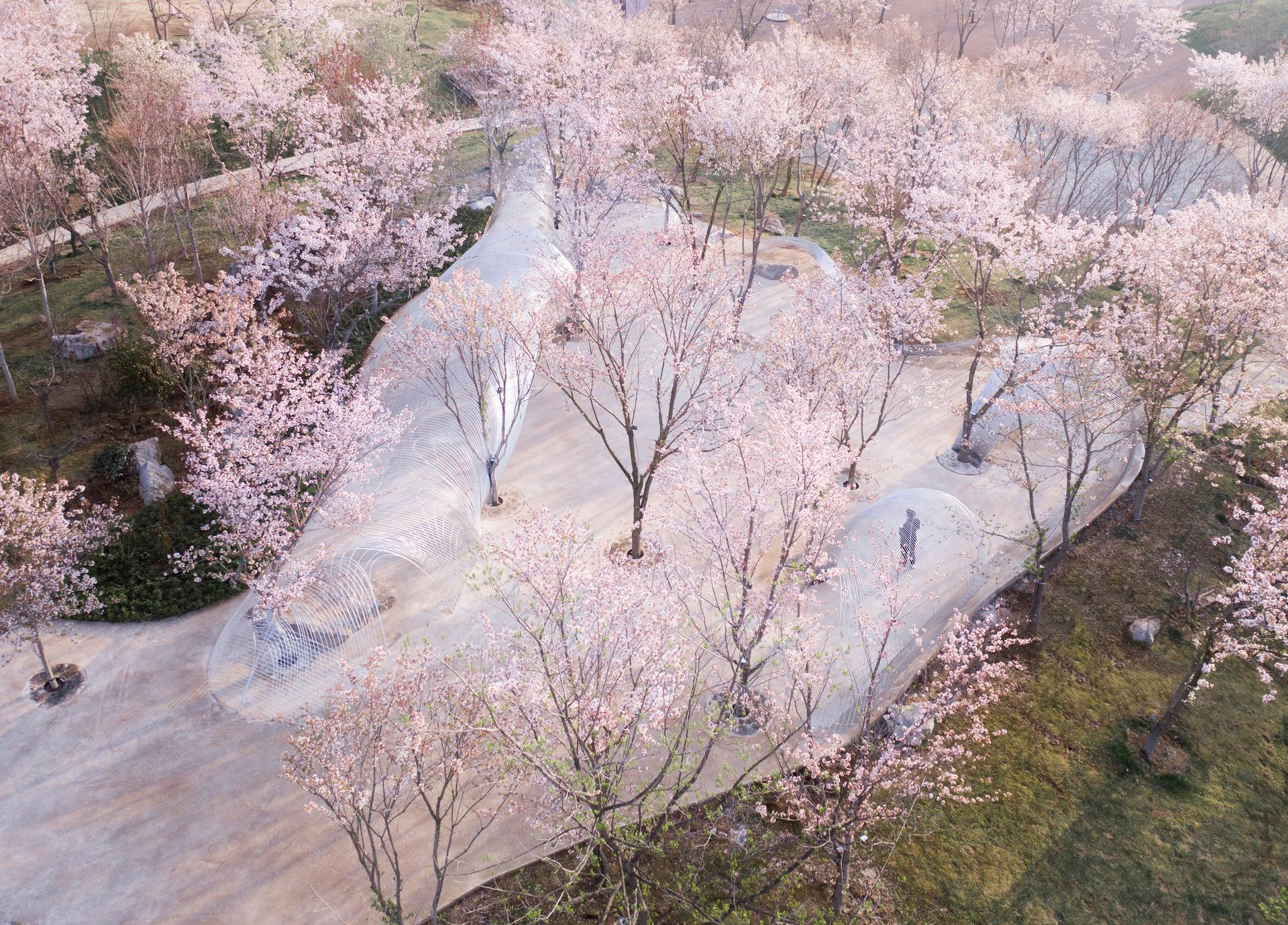 Boundless Theater of Egret Bay - image 2