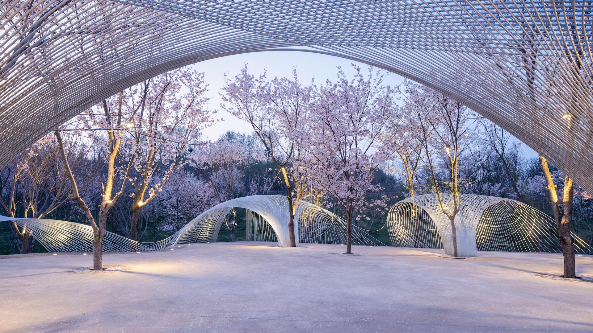 Boundless Theater of Egret Bay - image 4