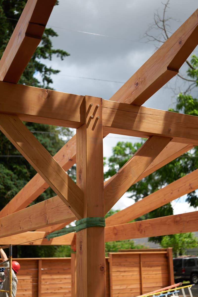 Backyard Community - image 11