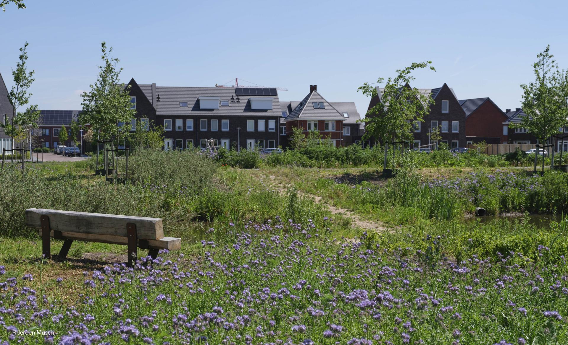 Rijnvliet Edible Neighborhood - image 9