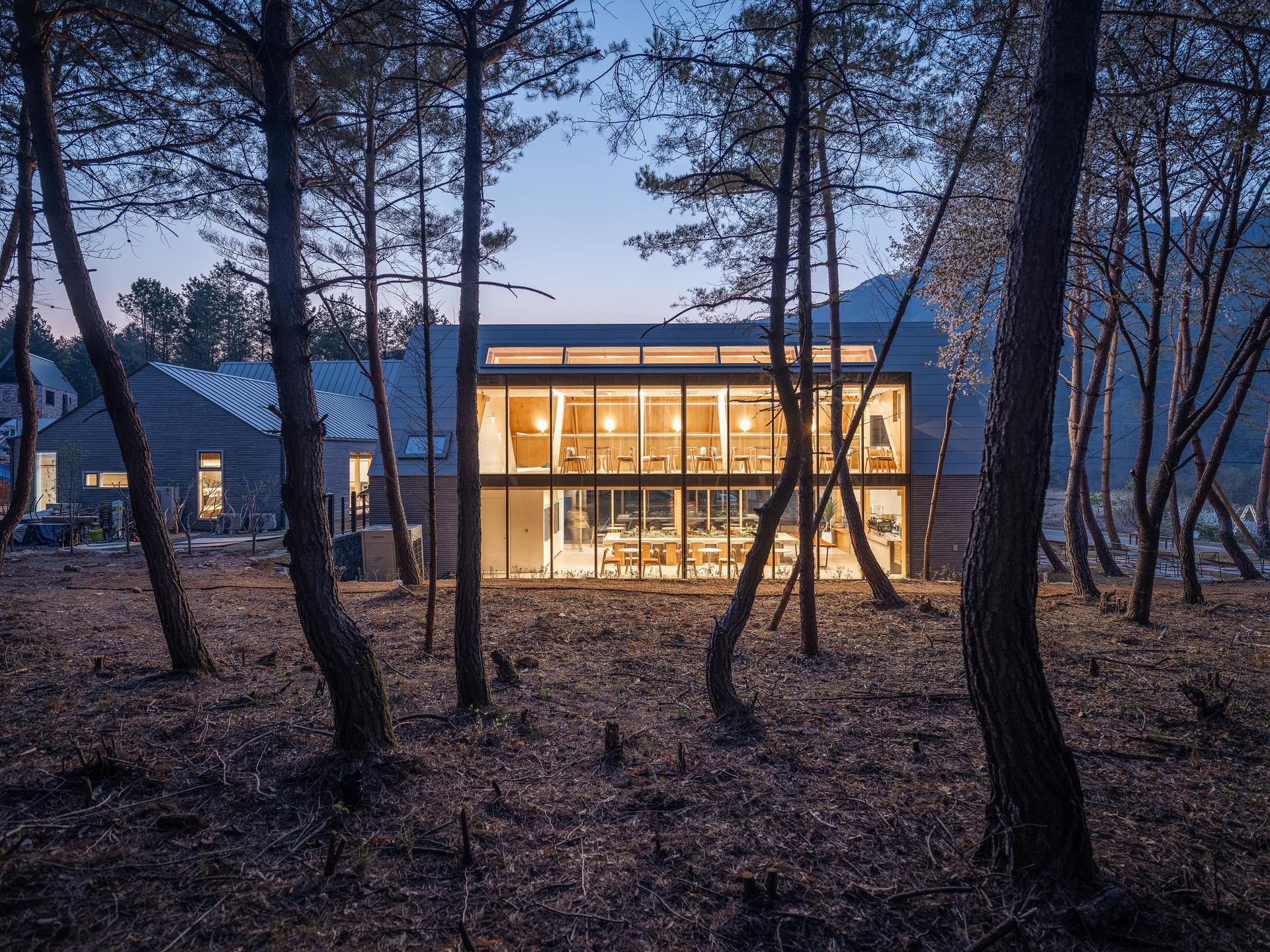 Forest Edge - image 4